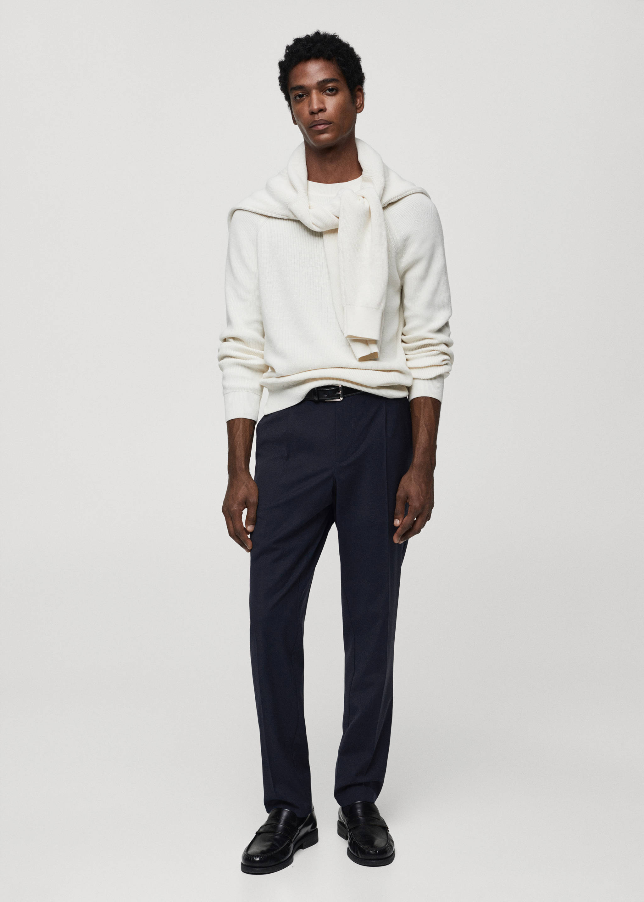 Cold wool trousers with pleat detail - General plane