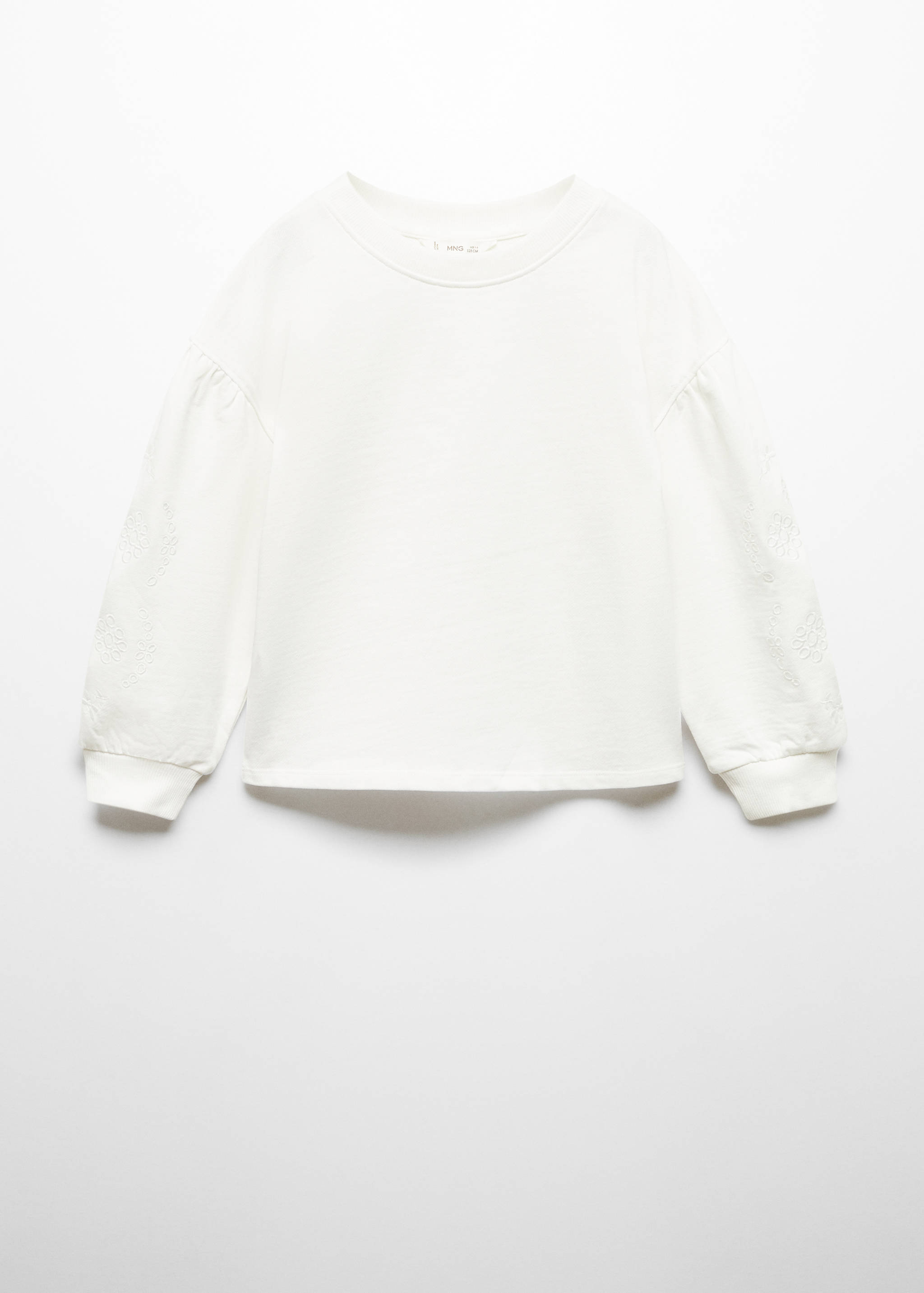 Embroidered sleeve sweatshirt - Article without model