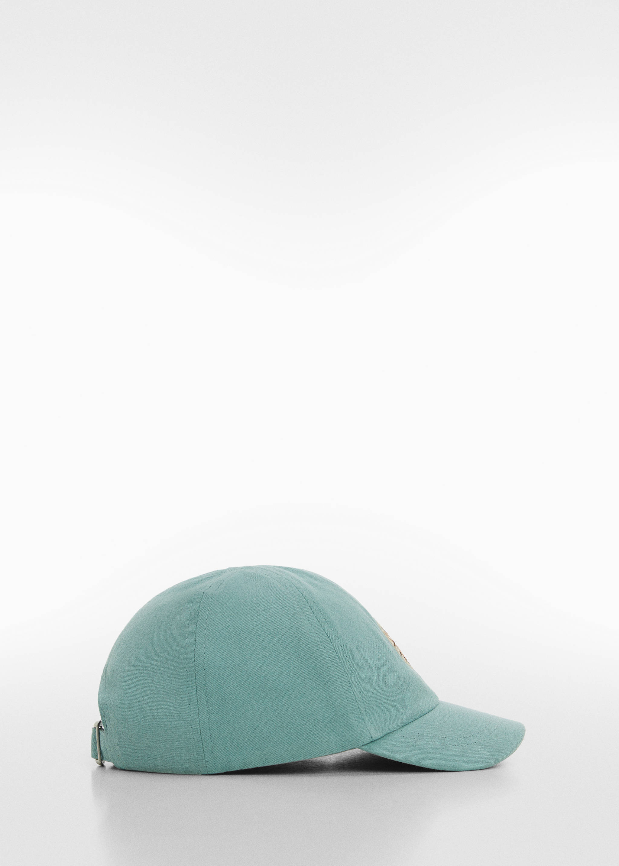 Embroidered detail cap - Article without model