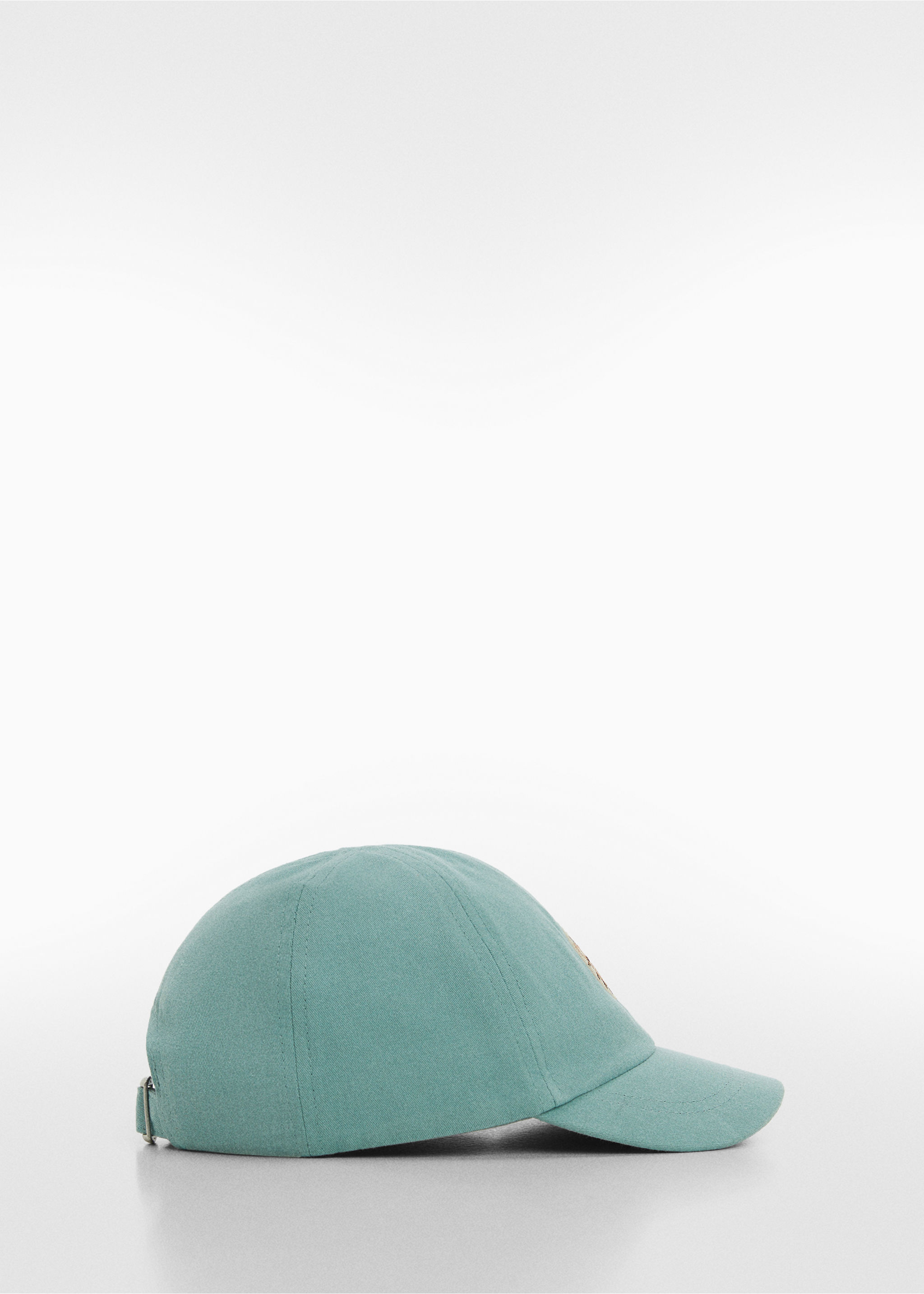 Embroidered detail cap - Article without model