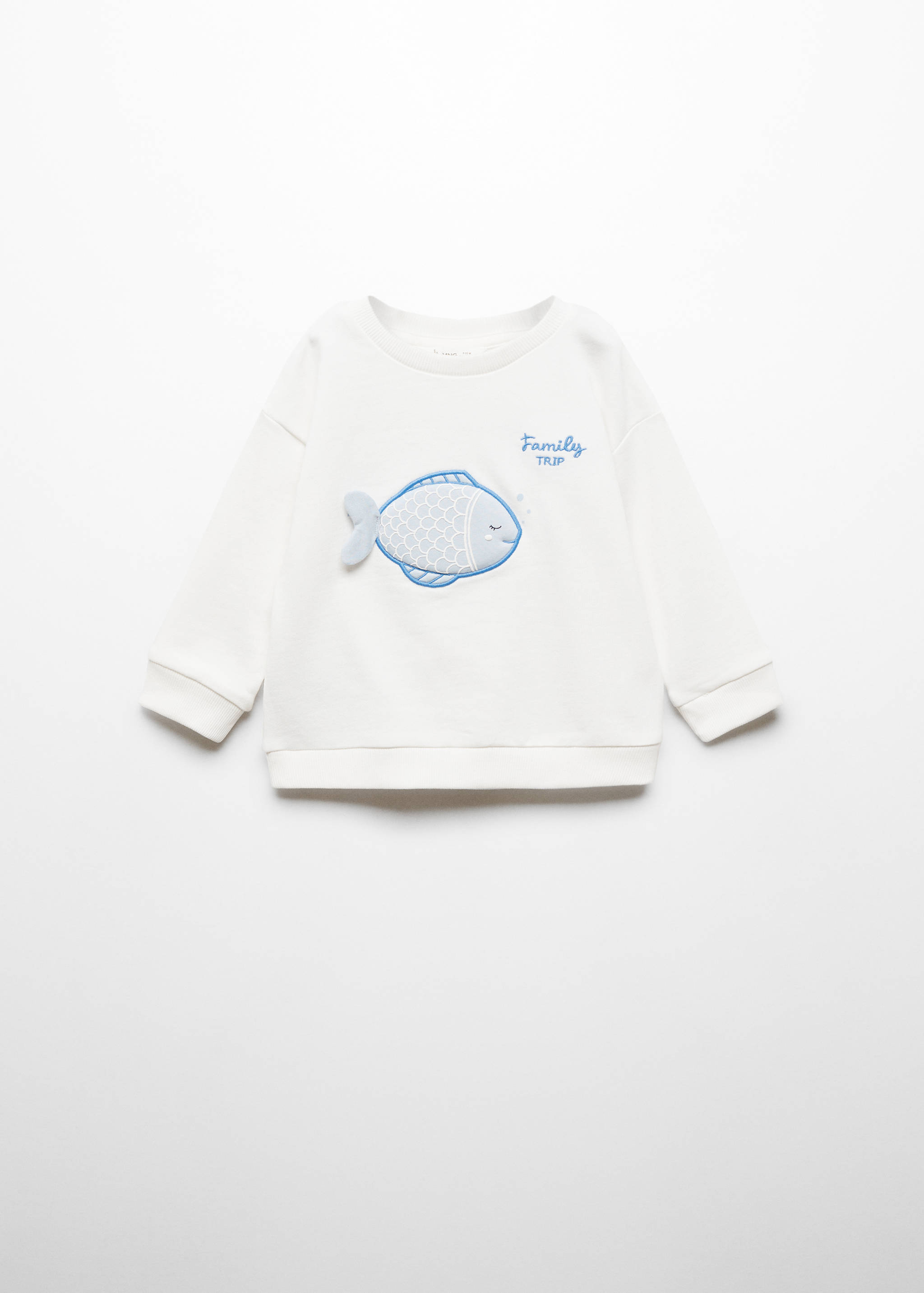Embroidered cotton sweatshirt - Article without model