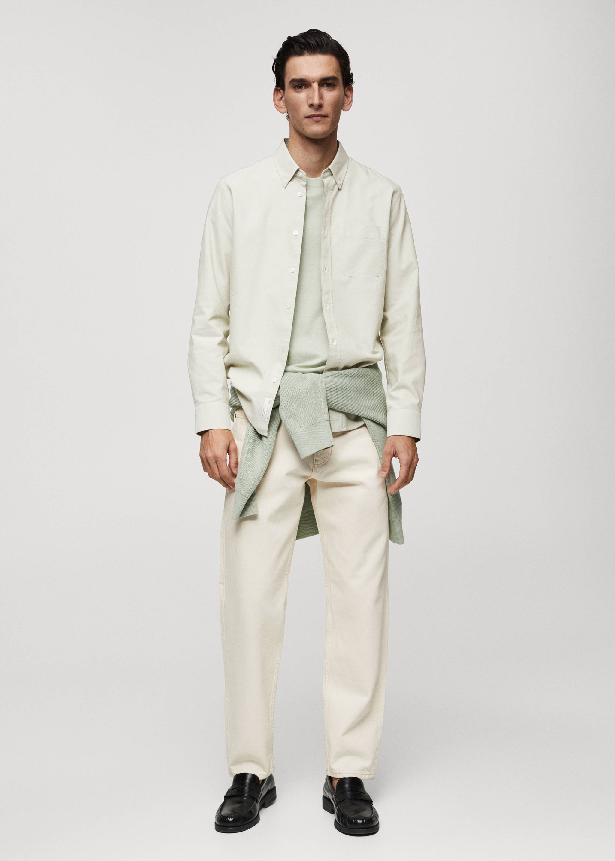 Regular fit Oxford cotton shirt - General plane