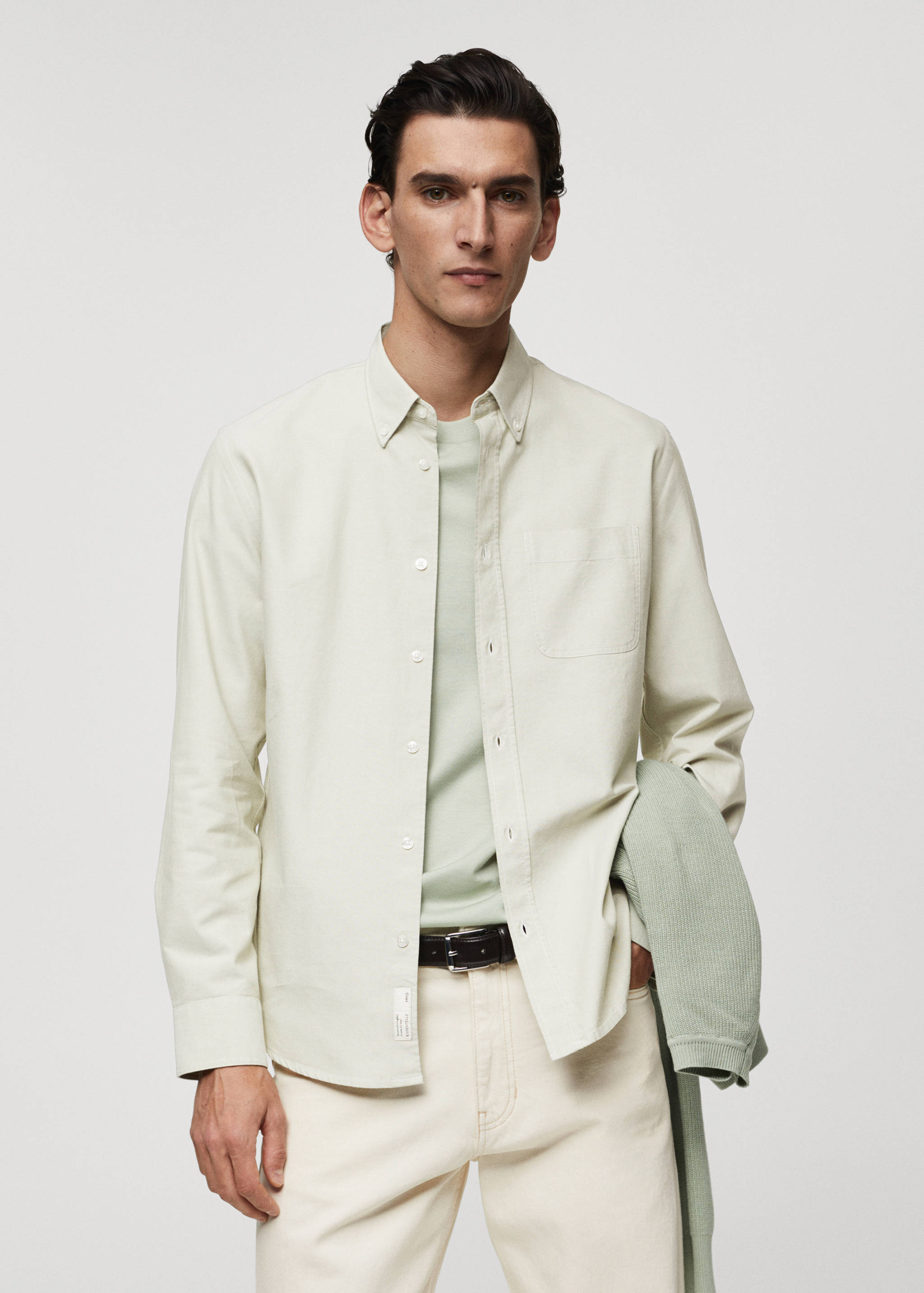 Regular fit Oxford cotton shirt - Medium plane