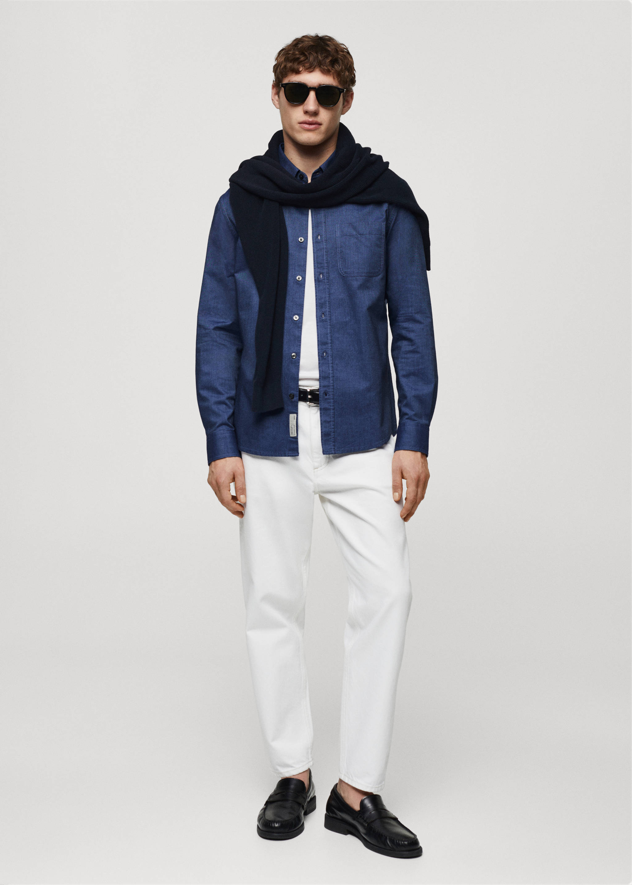 Regular fit Oxford cotton shirt - General plane