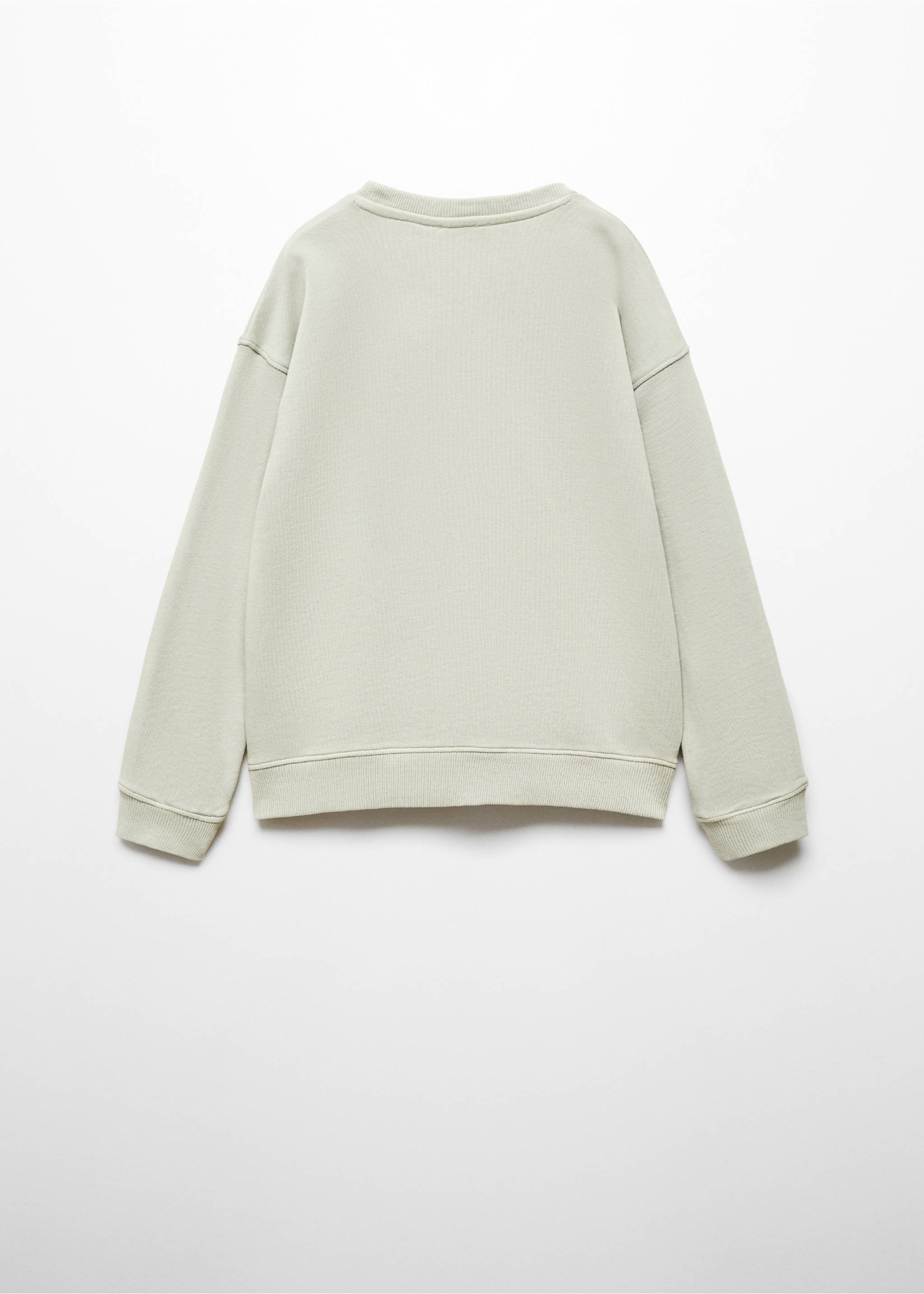 Printed message sweatshirt - Reverse of the article, Pastel Green. Ref: 67084457-00.