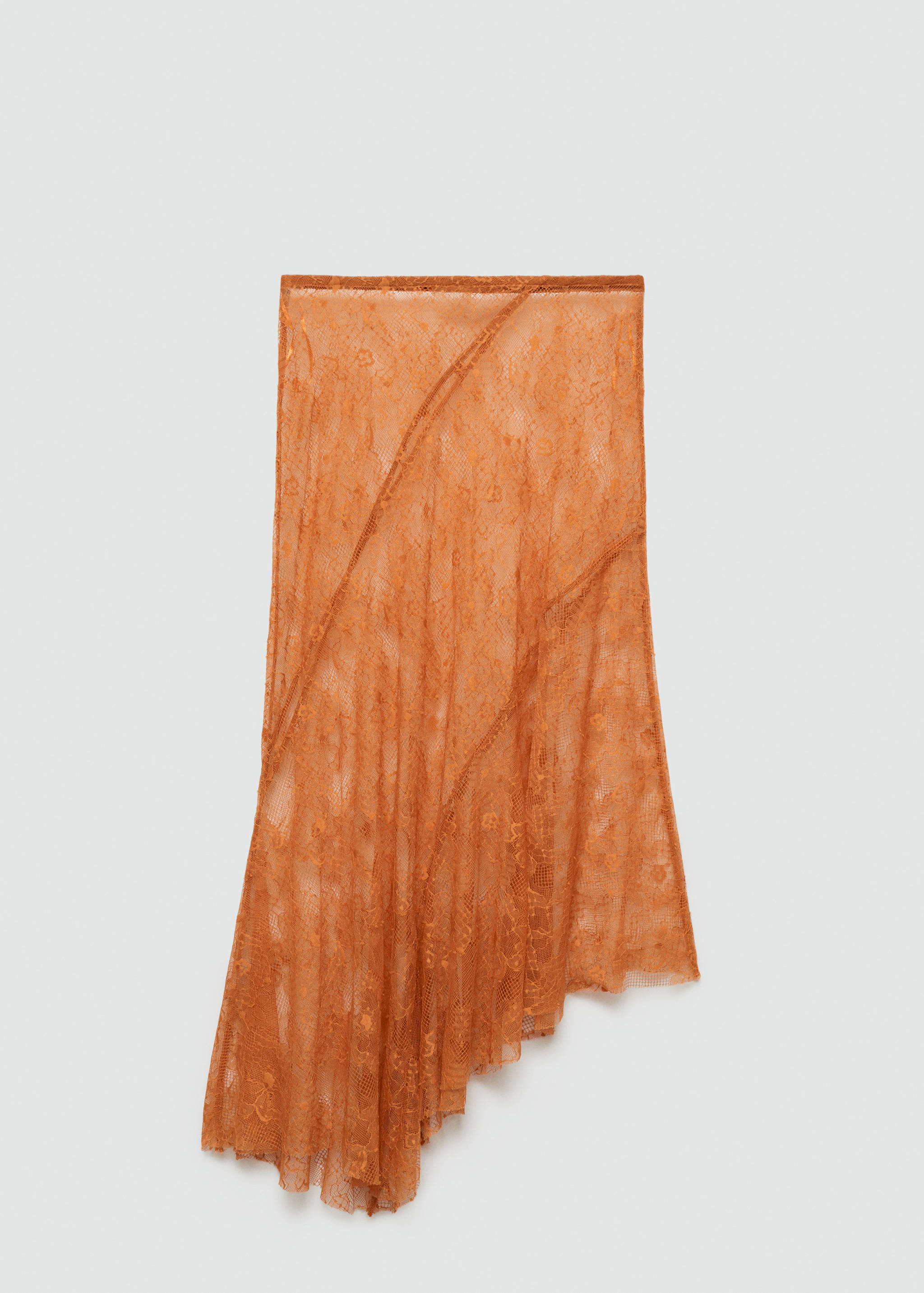 Asymmetrical embroidered skirt - Article without model