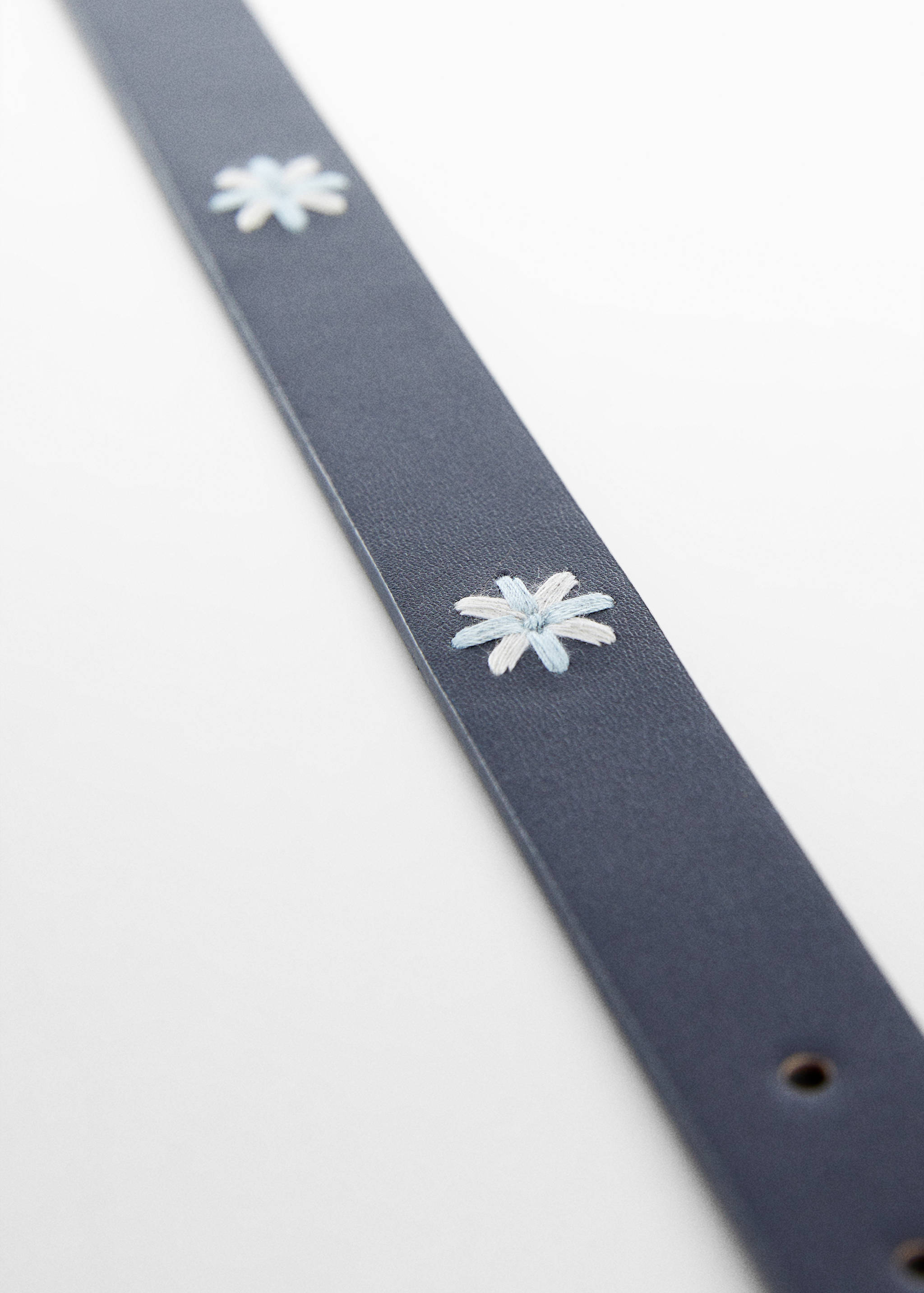 Embroidered belt - Details of the article 2