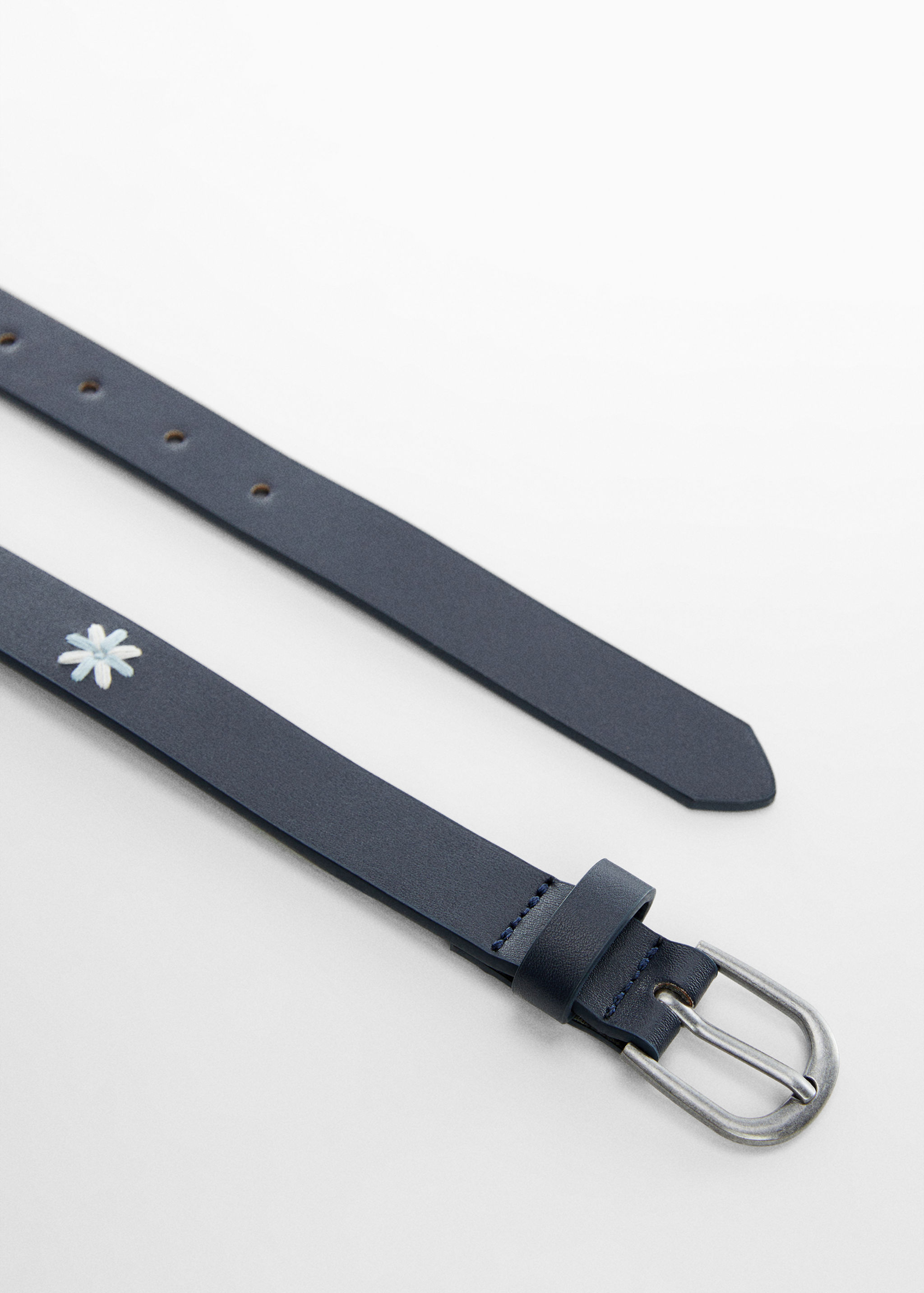 Embroidered belt - Medium plane