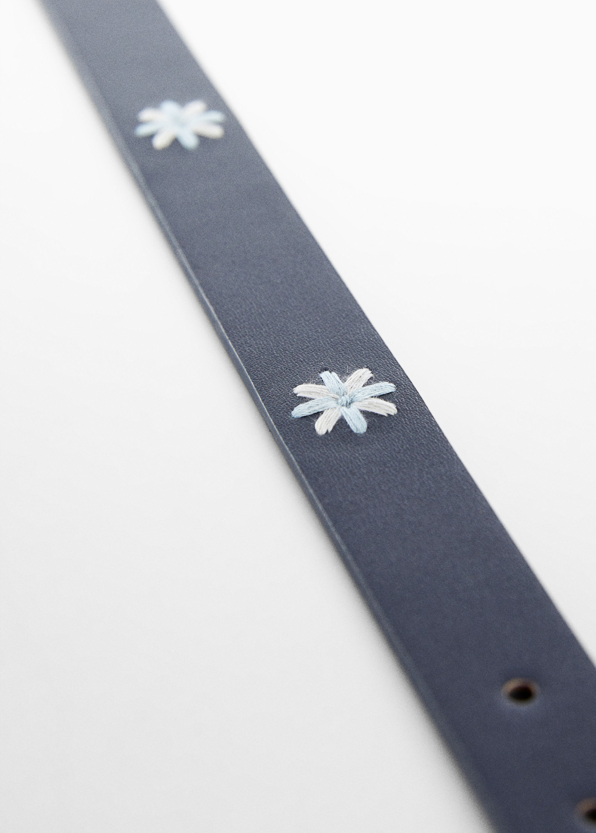 Embroidered belt - Details of the article 2