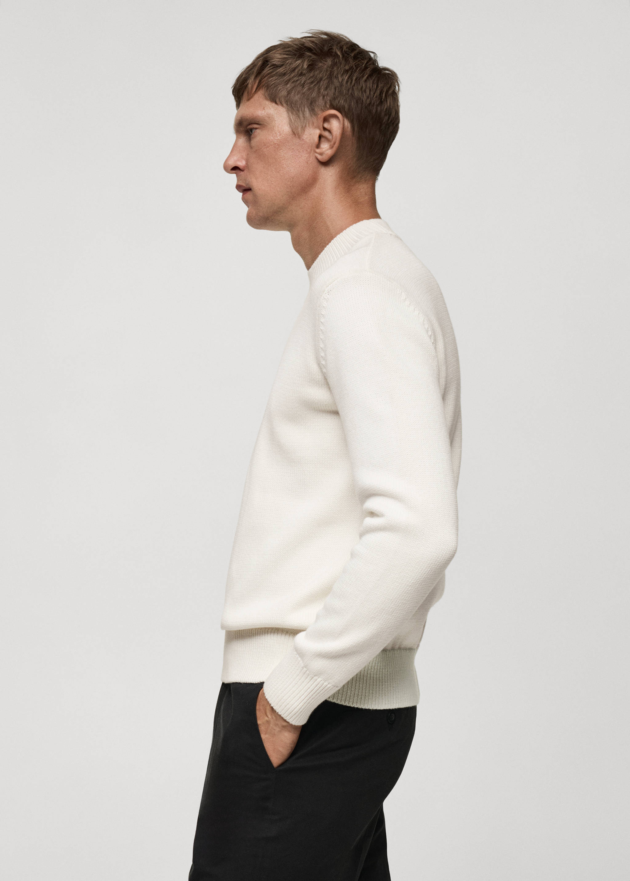 Baumwollpullover aus mittelfeinem Strick - Detail des Artikels 2