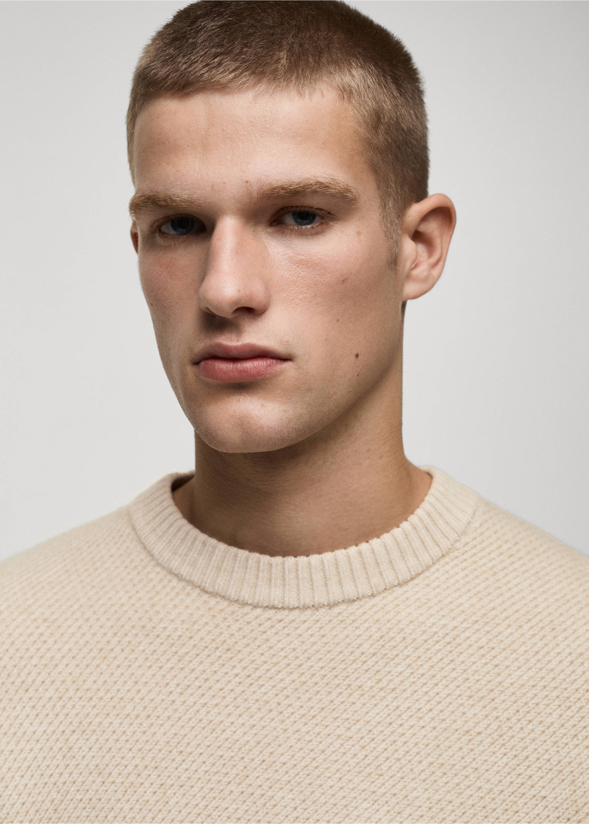 Jersey punto regular fit - Detalle del artículo 1, Arena. Ref: 77007939-00.