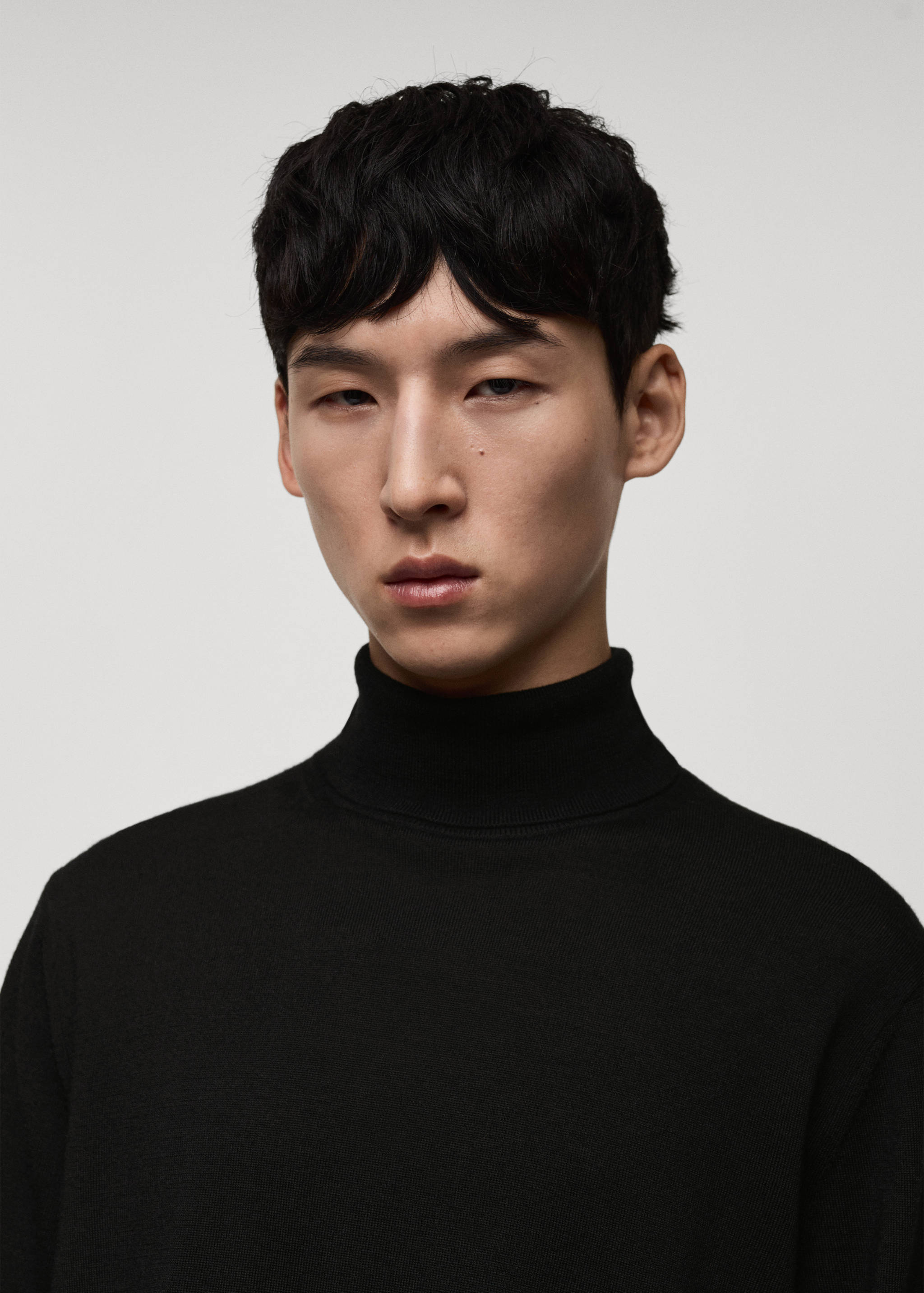 100% merino wool turtleneck sweater - Details of the article 1