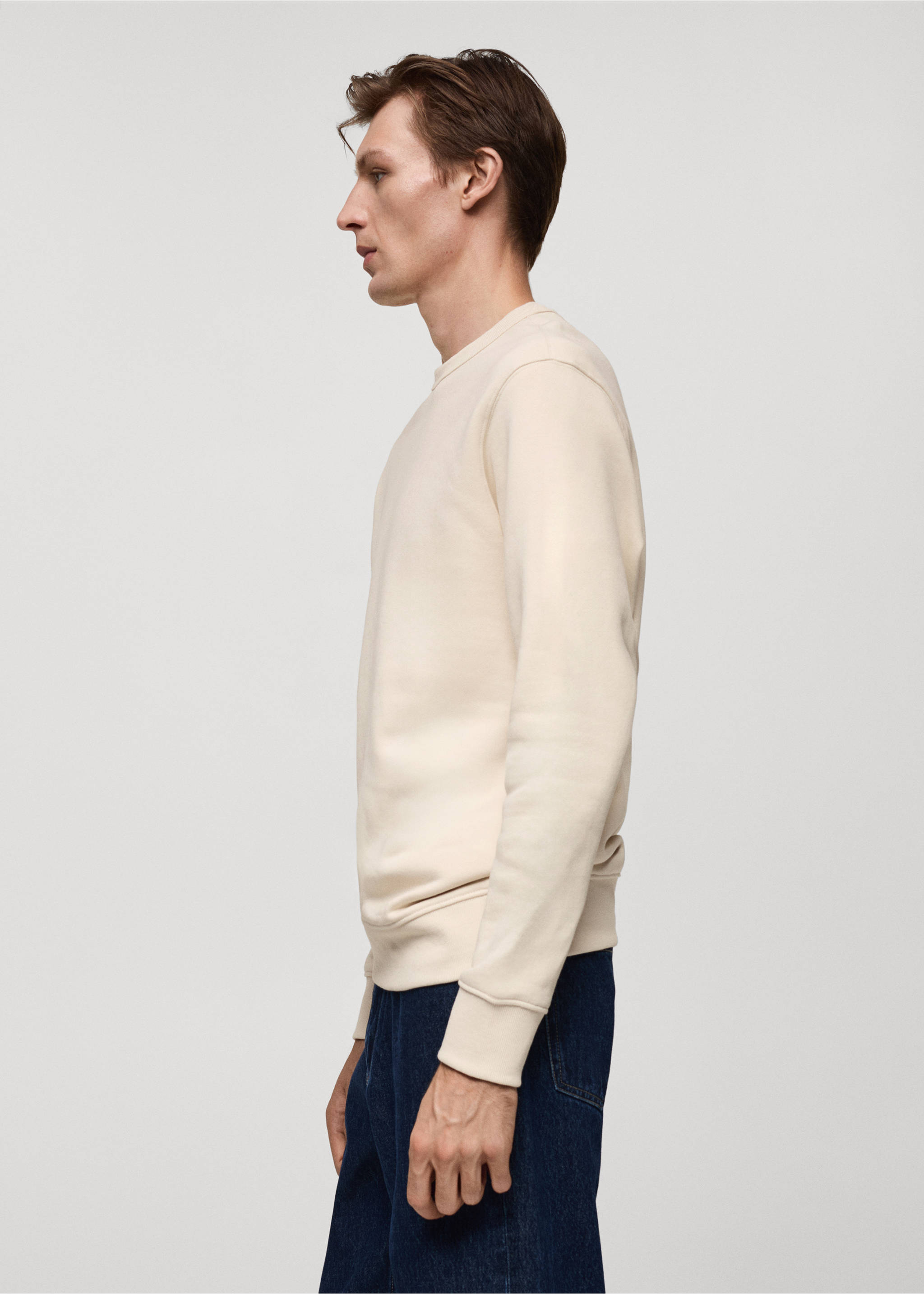 Plush cotton sweatshirt - Details of the article 2, Ecru. Ref: 77017117-00.