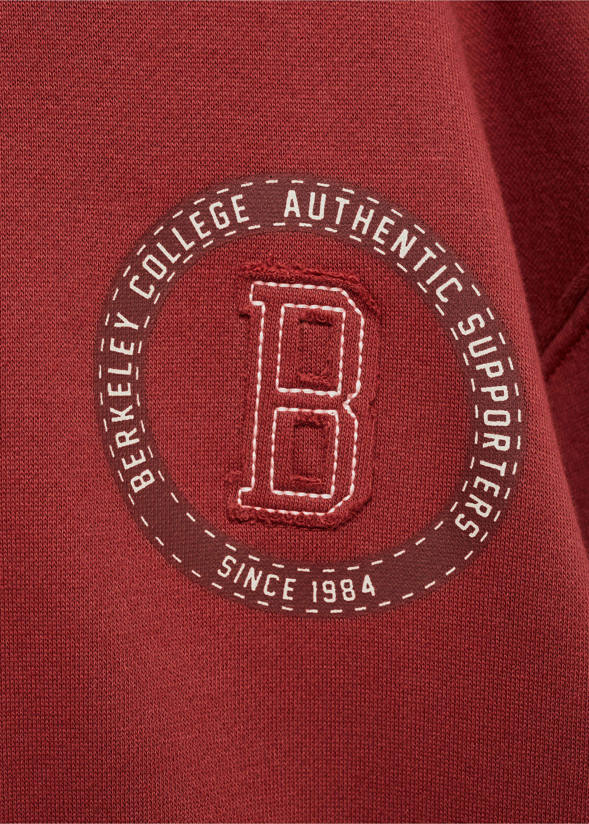 Embroidered detail cotton sweatshirt - Details of the article 8, Cherry. Ref: 77017930-00.