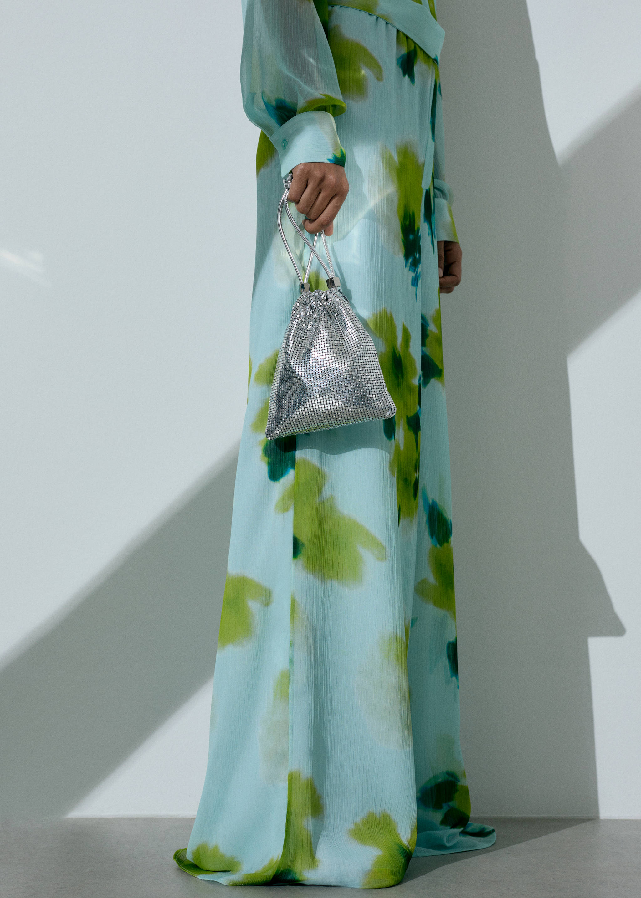 Bossa mà lluentons - Pla general