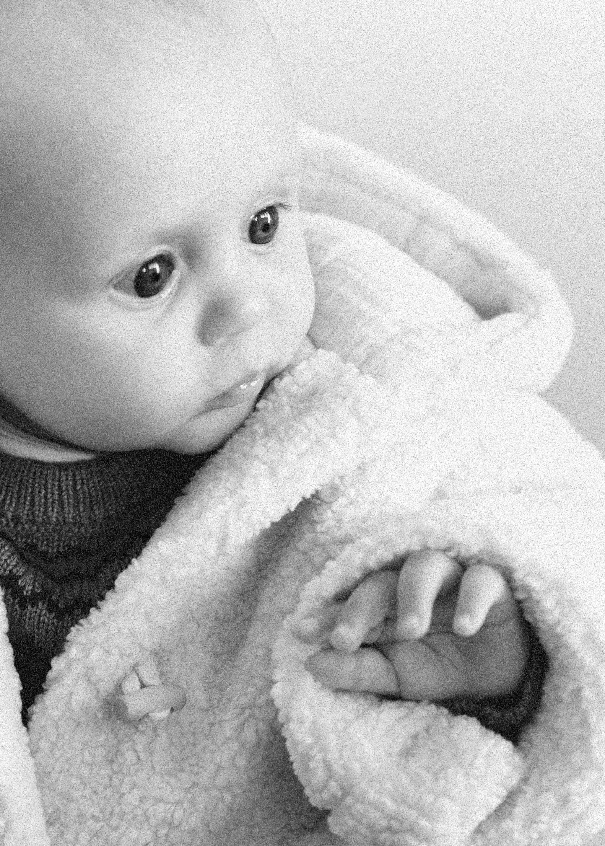 Abric borreguet caputxa - Pla general