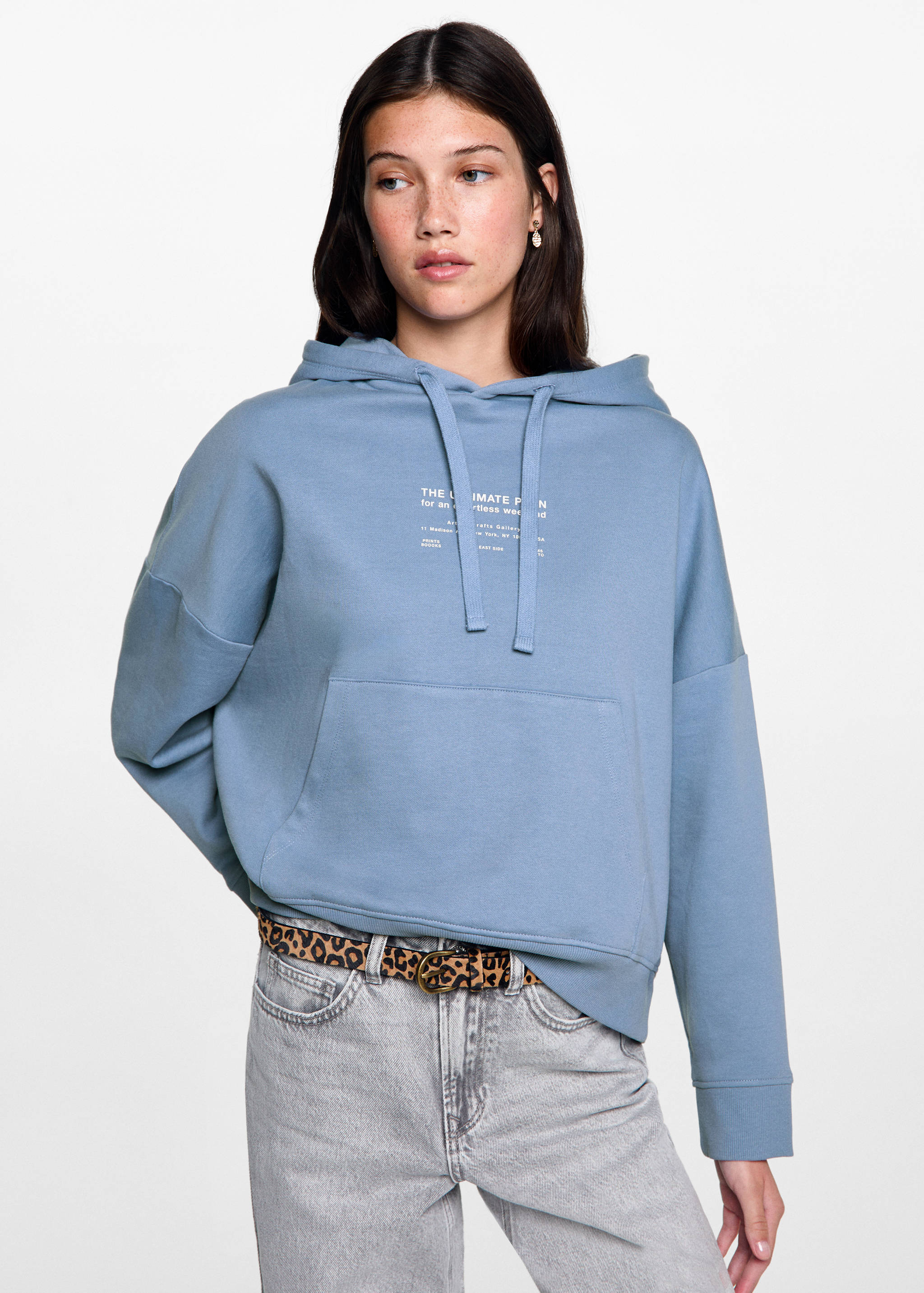 Printed hoodie - Medium plane