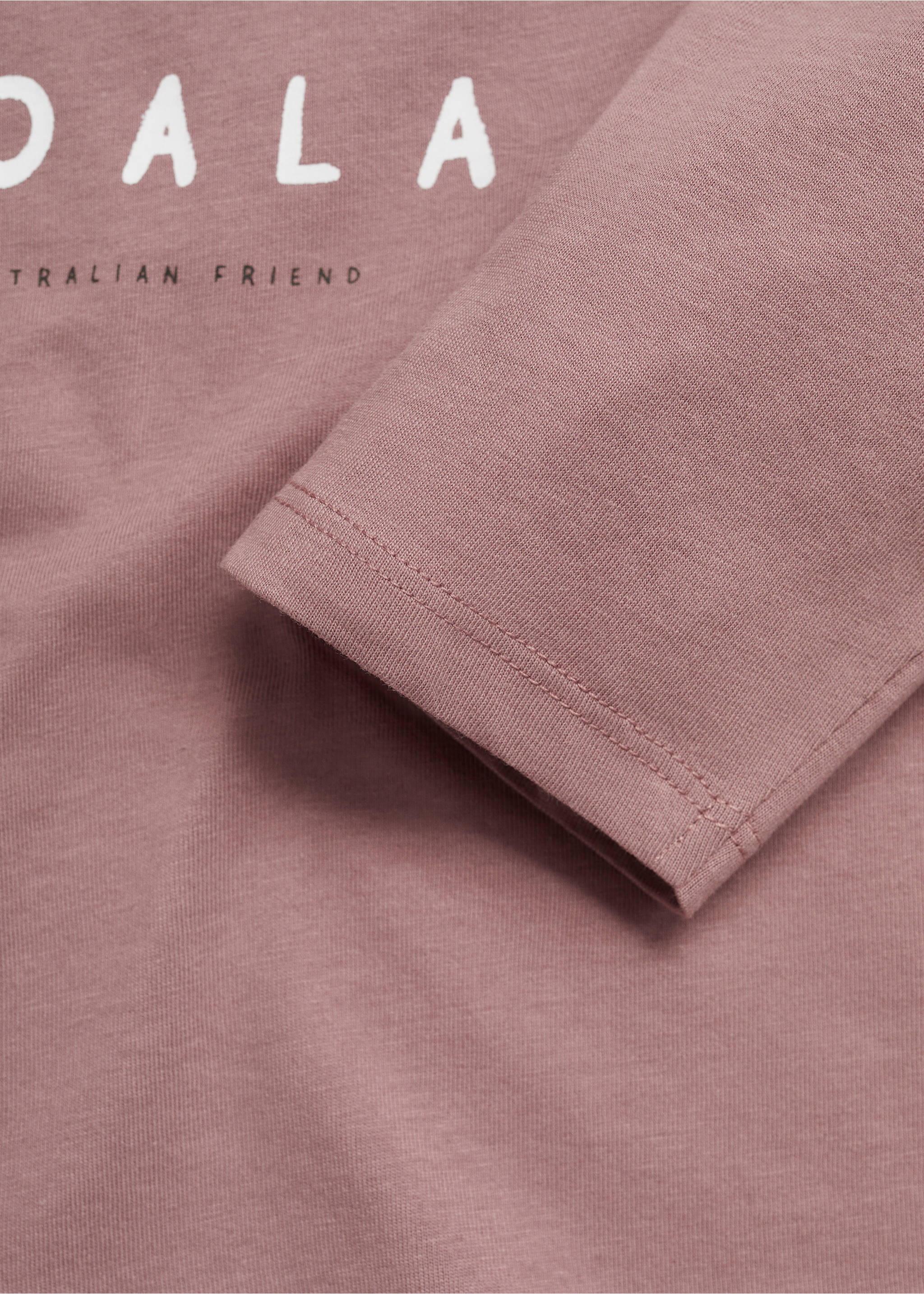 Animal print T-shirt - Details of the article 0, Burgundy. Ref: 77034776-00.