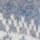 Colour Blue selected