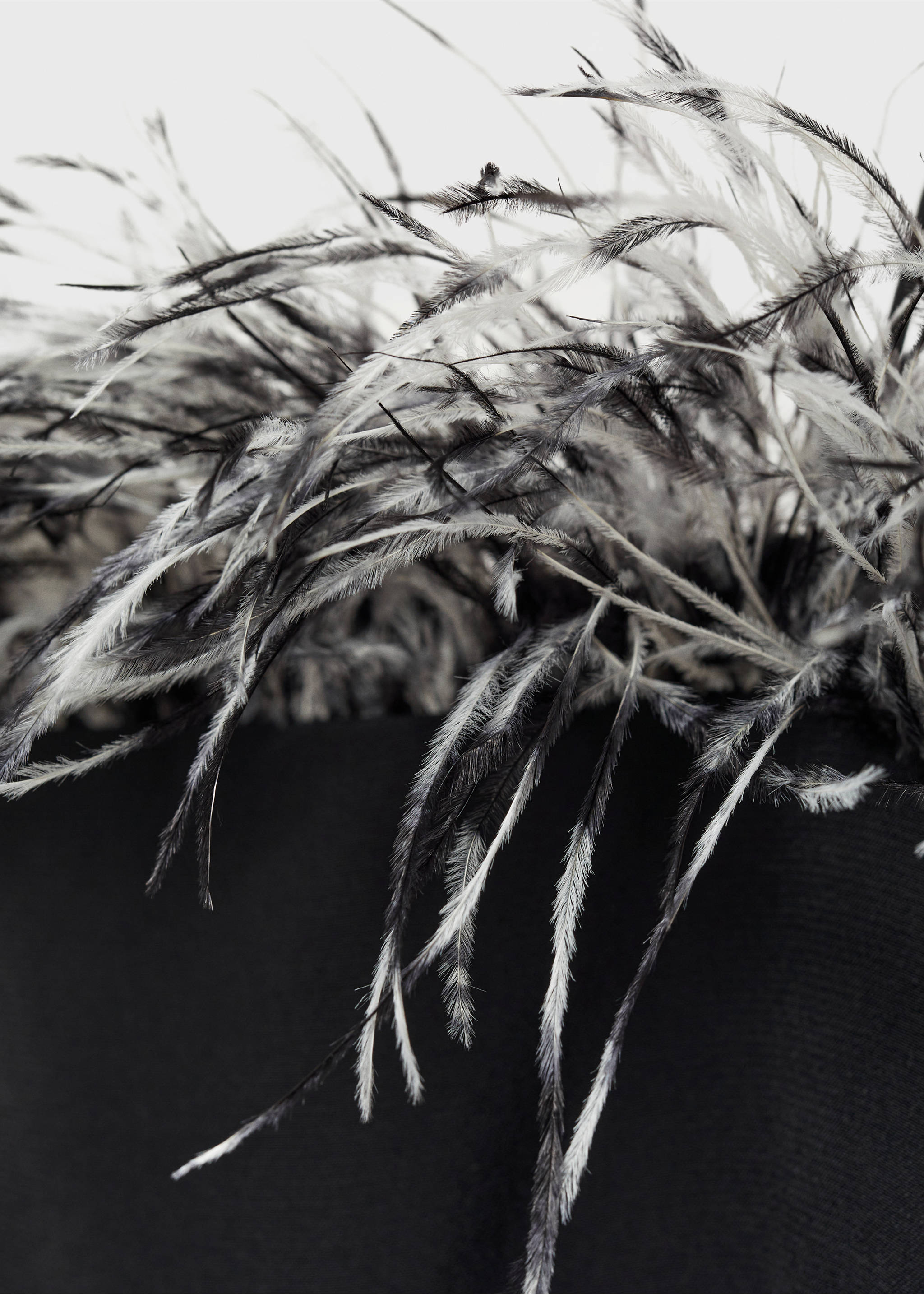 Strapless dress with feather detail - Details of the article 8, Black. Ref: 77039059-00.