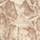 Colour Beige selected