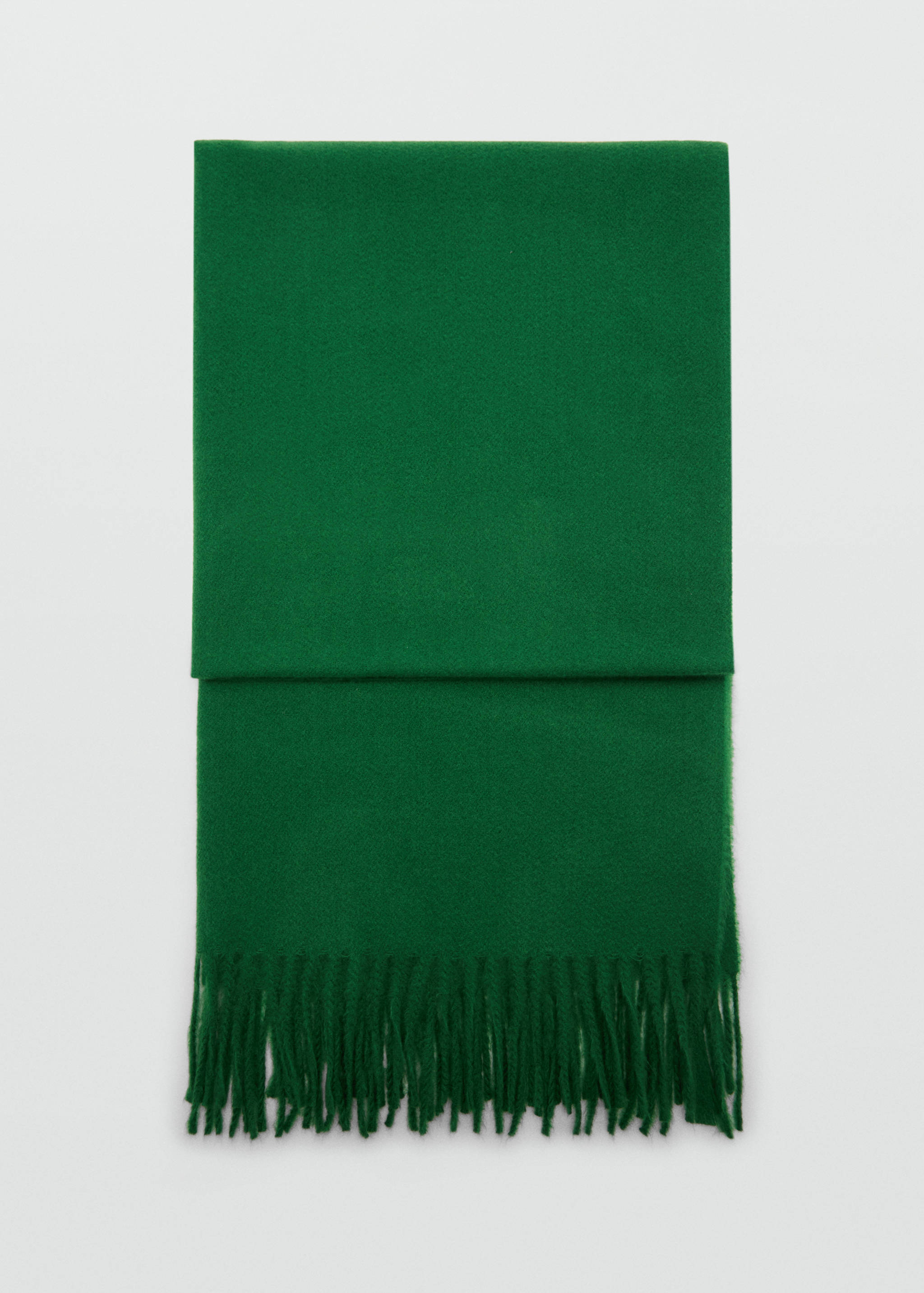 Fringed edge scarf - Article without model