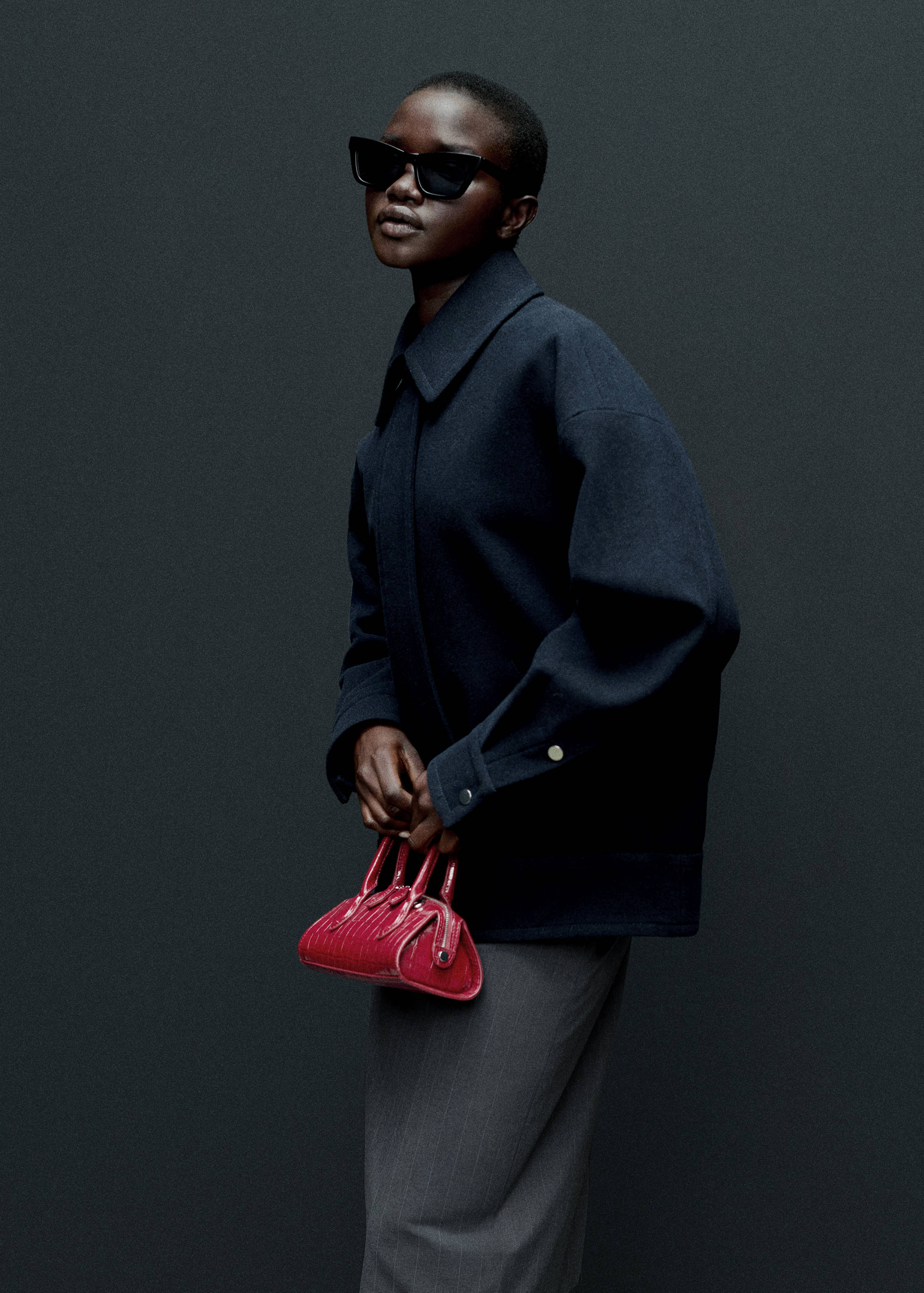 Τσάντα σε όψη κροκόδειλου - Γενικό πλάνο