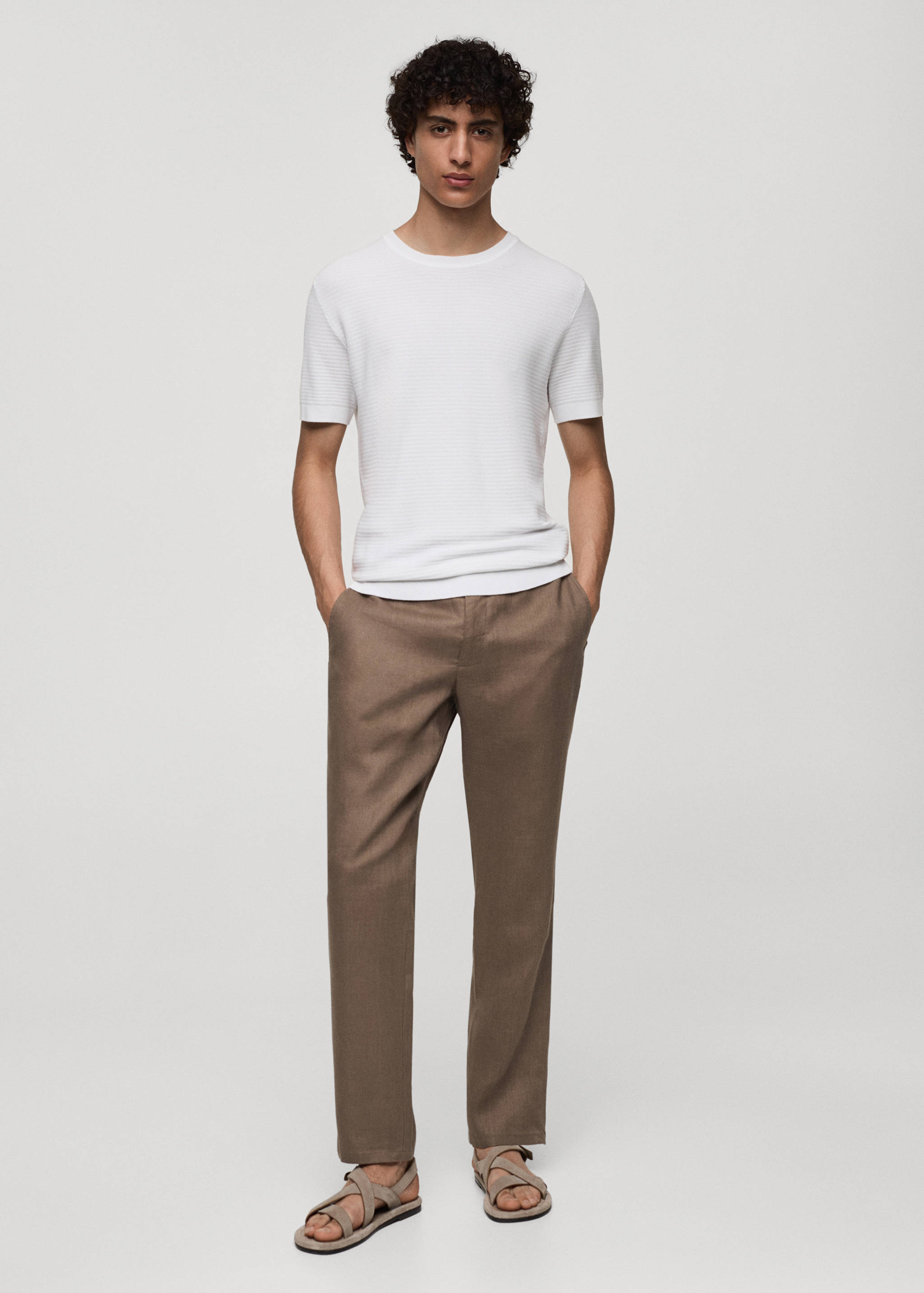 Slim-fit 100% linen pants - General plane