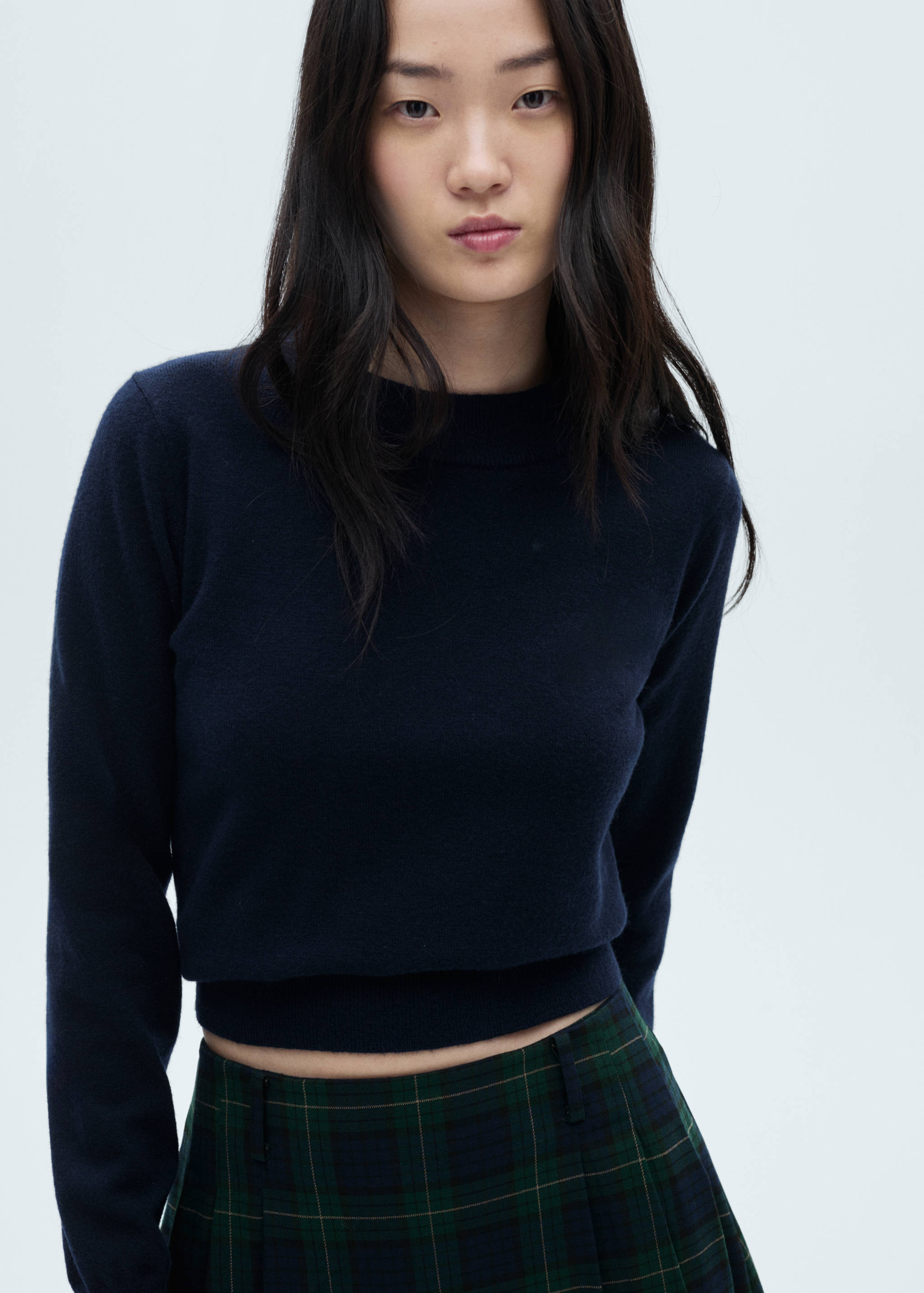 Pinstriped pleated skirt - Details of the article 1