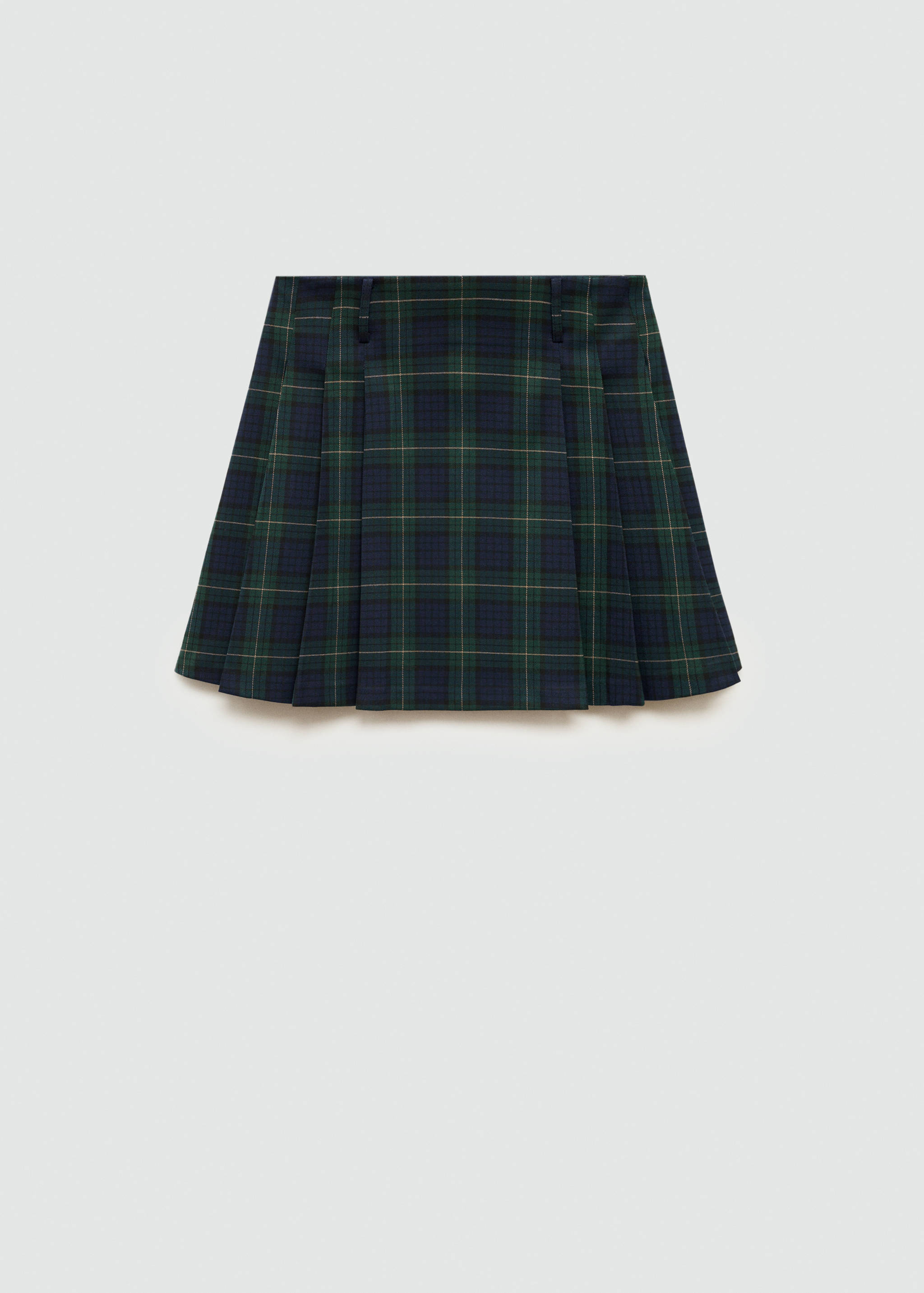 Pinstriped pleated skirt - Article without model