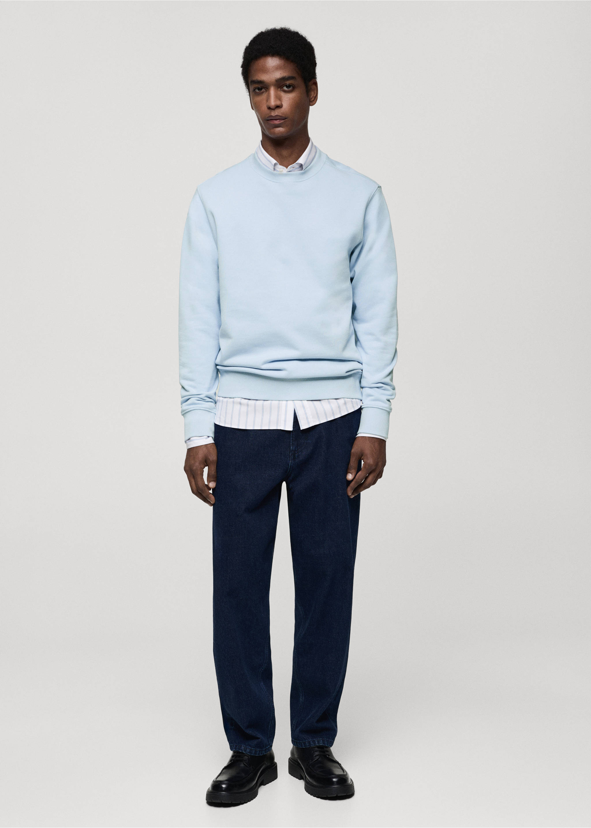 100% cotton regular-fit sweatshirt - General plane, Sky Blue. Ref: 77065150-00.