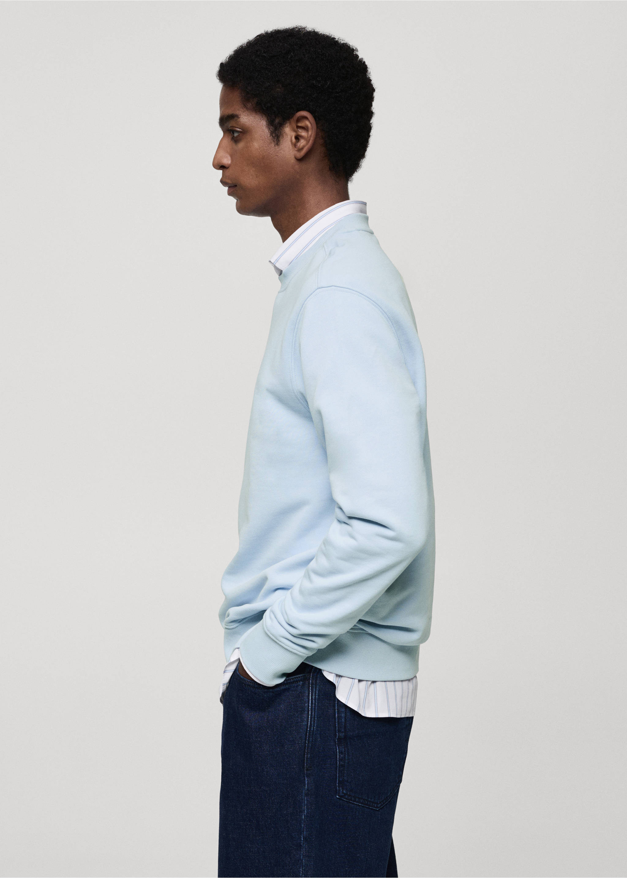 100% cotton regular-fit sweatshirt - Details of the article 2, Sky Blue. Ref: 77065150-00.