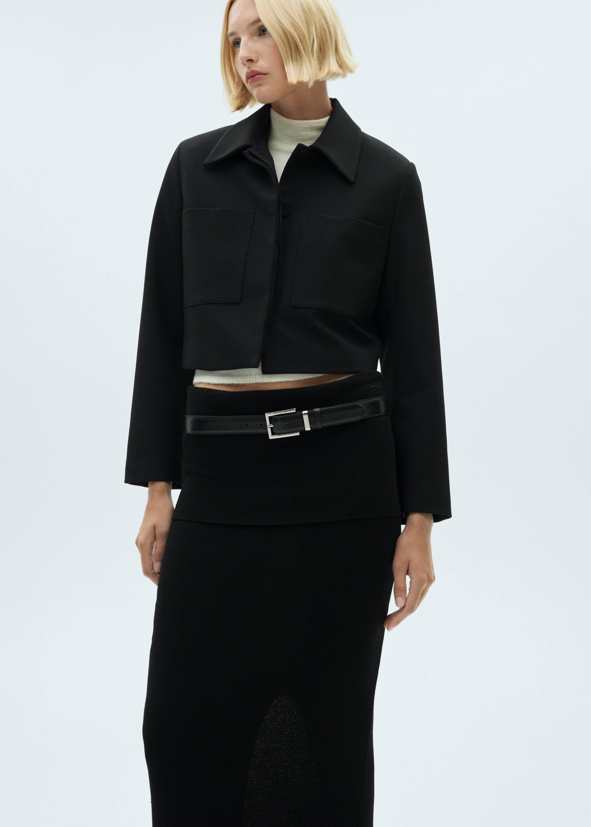 Geribde midirok - Detail van het artikel 2