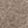 Colour Beige selected