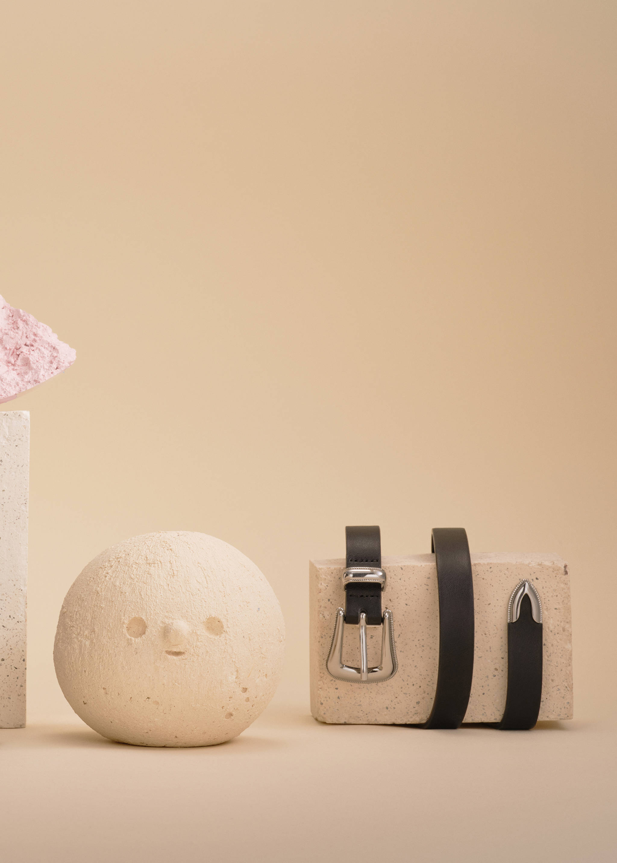 Metal buckle belt - General plane