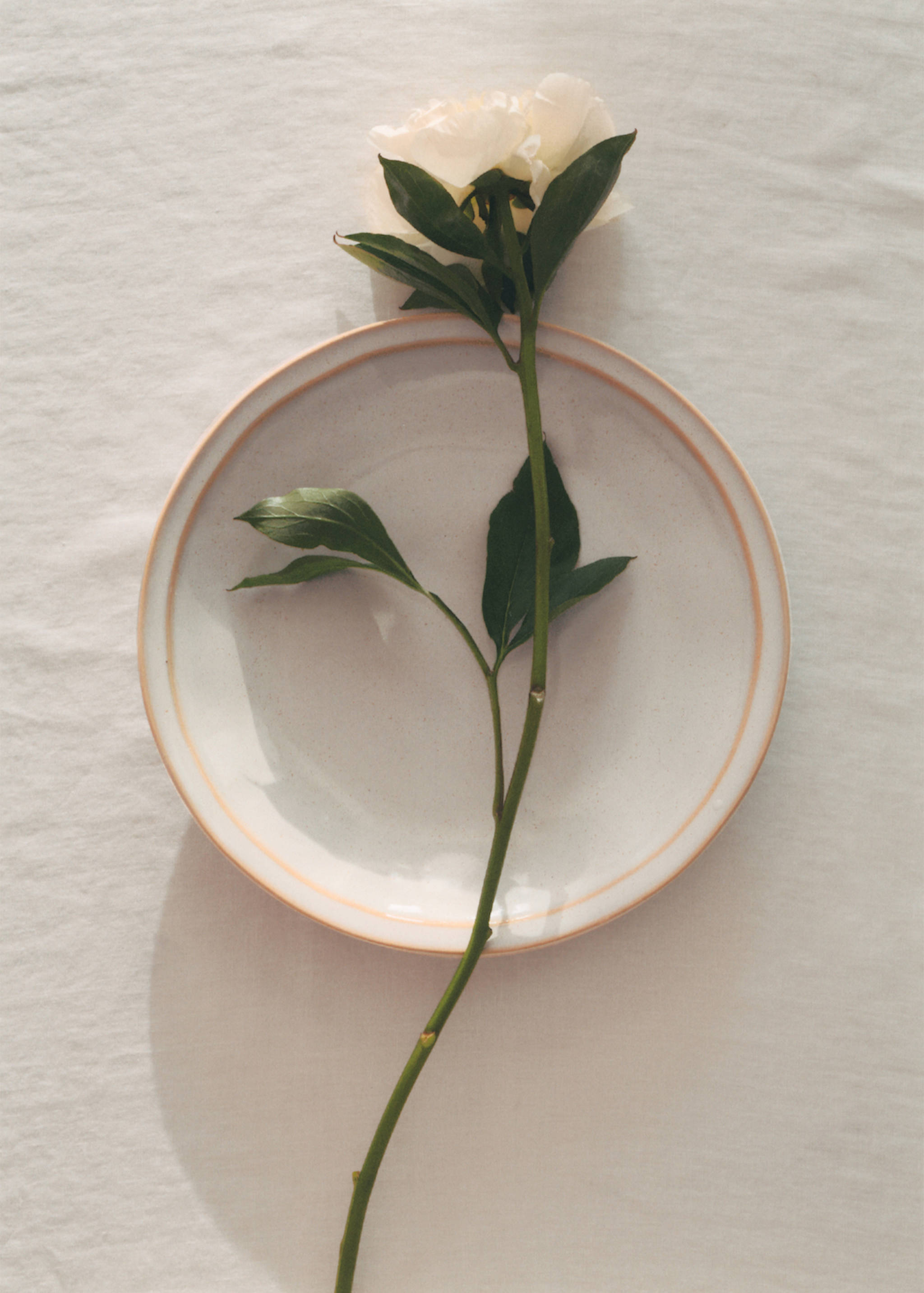 Aged double-edged stoneware dinner plate - Details of the article 6