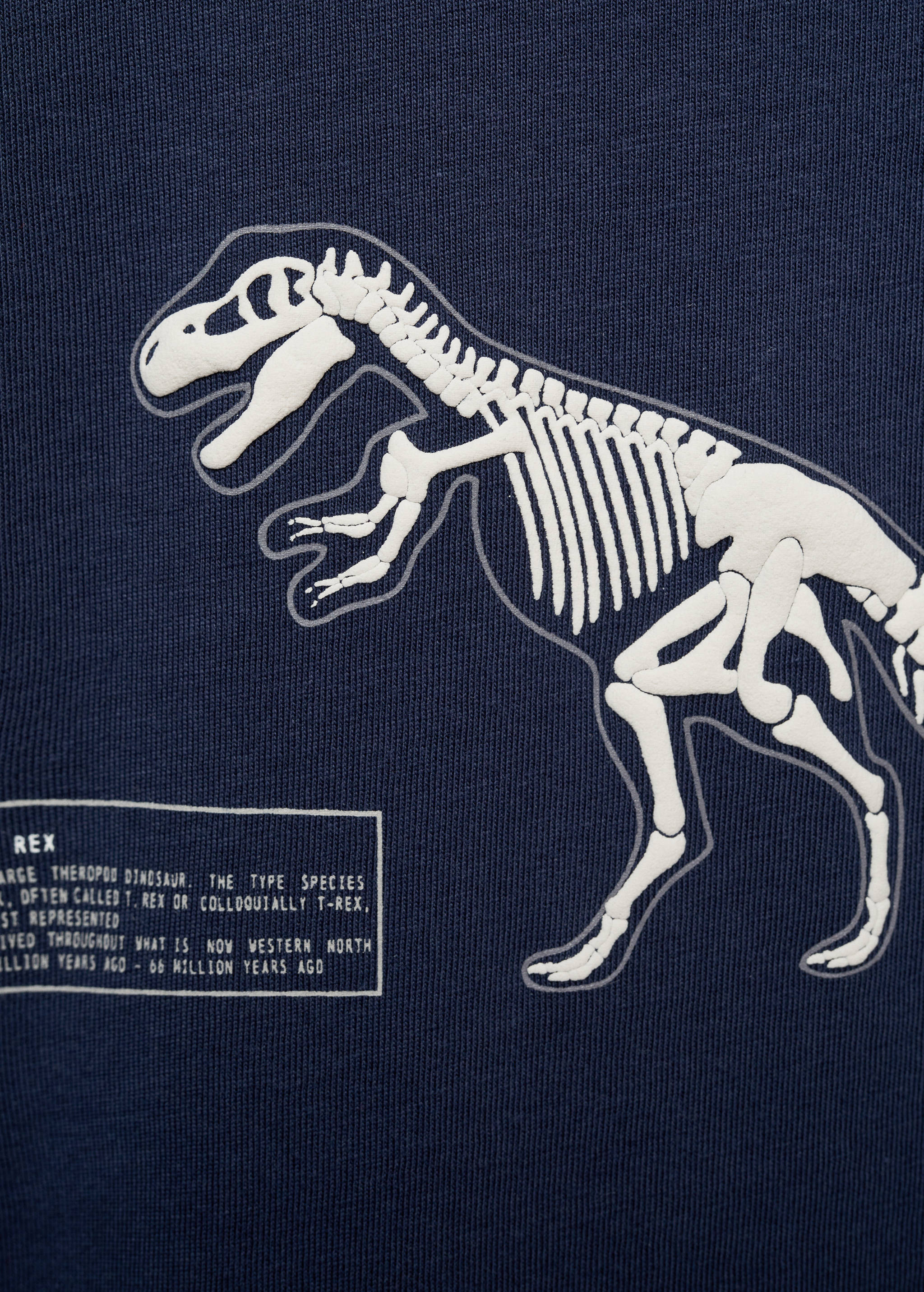 T-shirt imprimé dinosaure - Détail de l'article 8