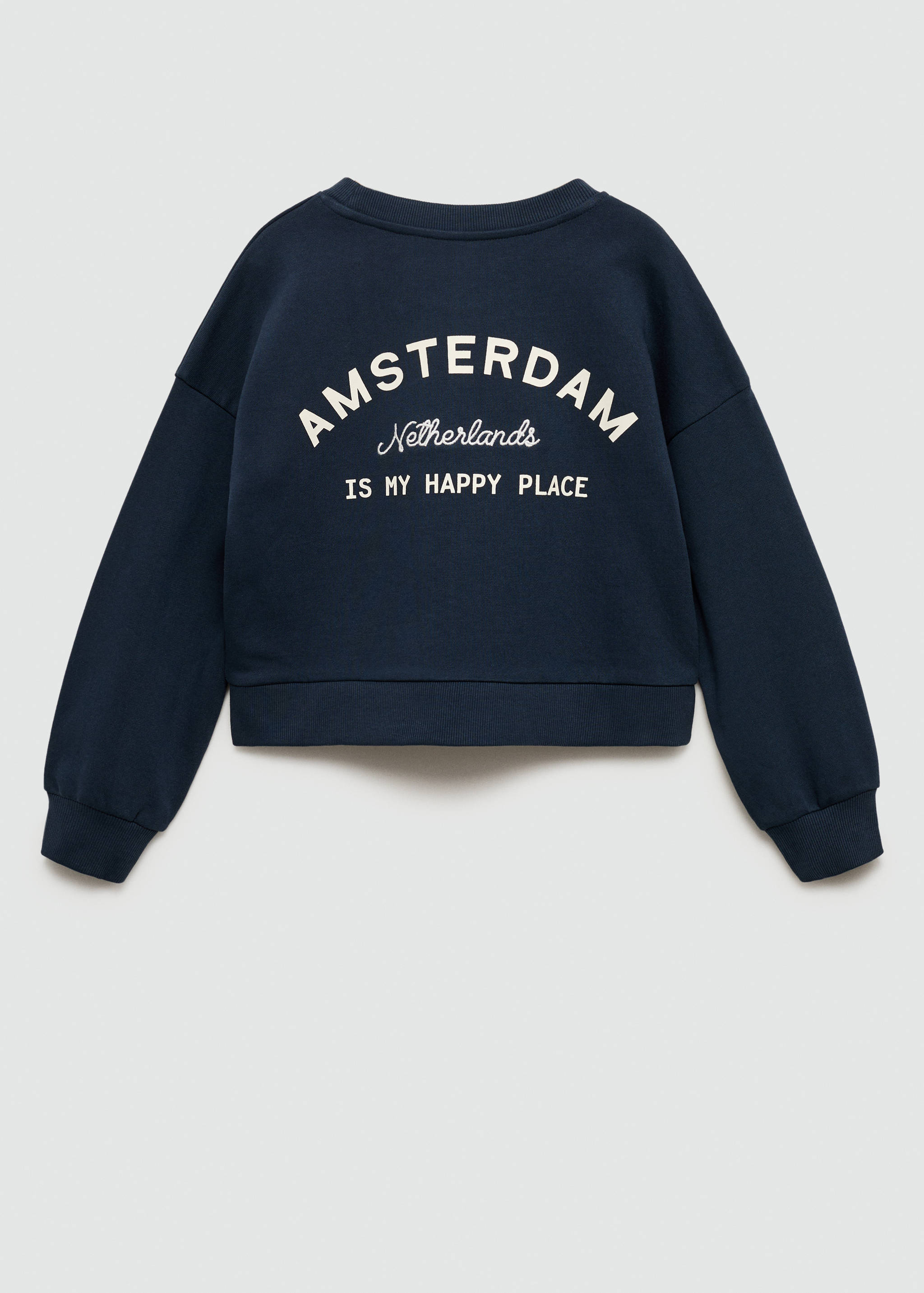 Embroidered printed hoodie - Reverse of the article