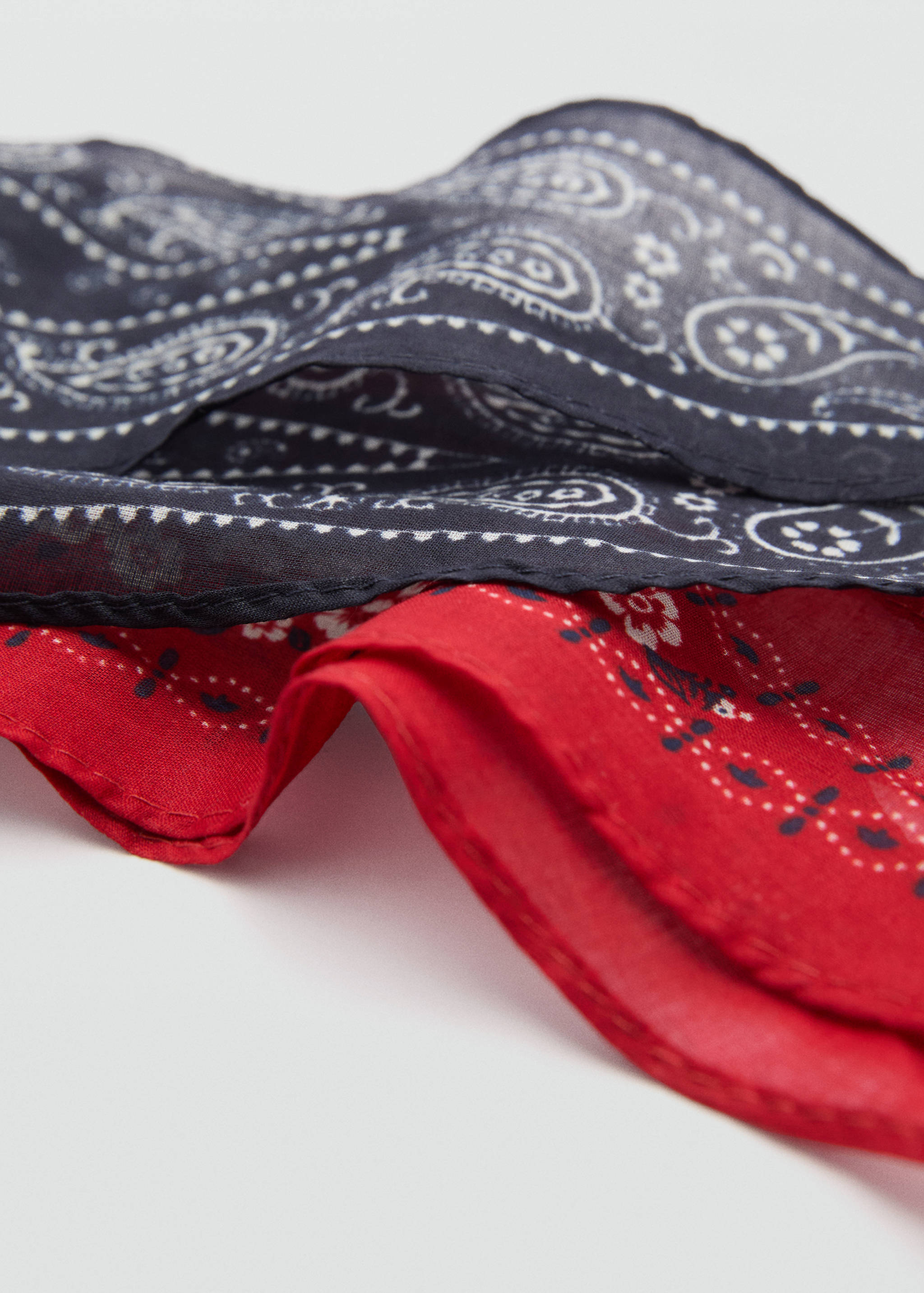 Pack of 2 bandanas - Medium plane