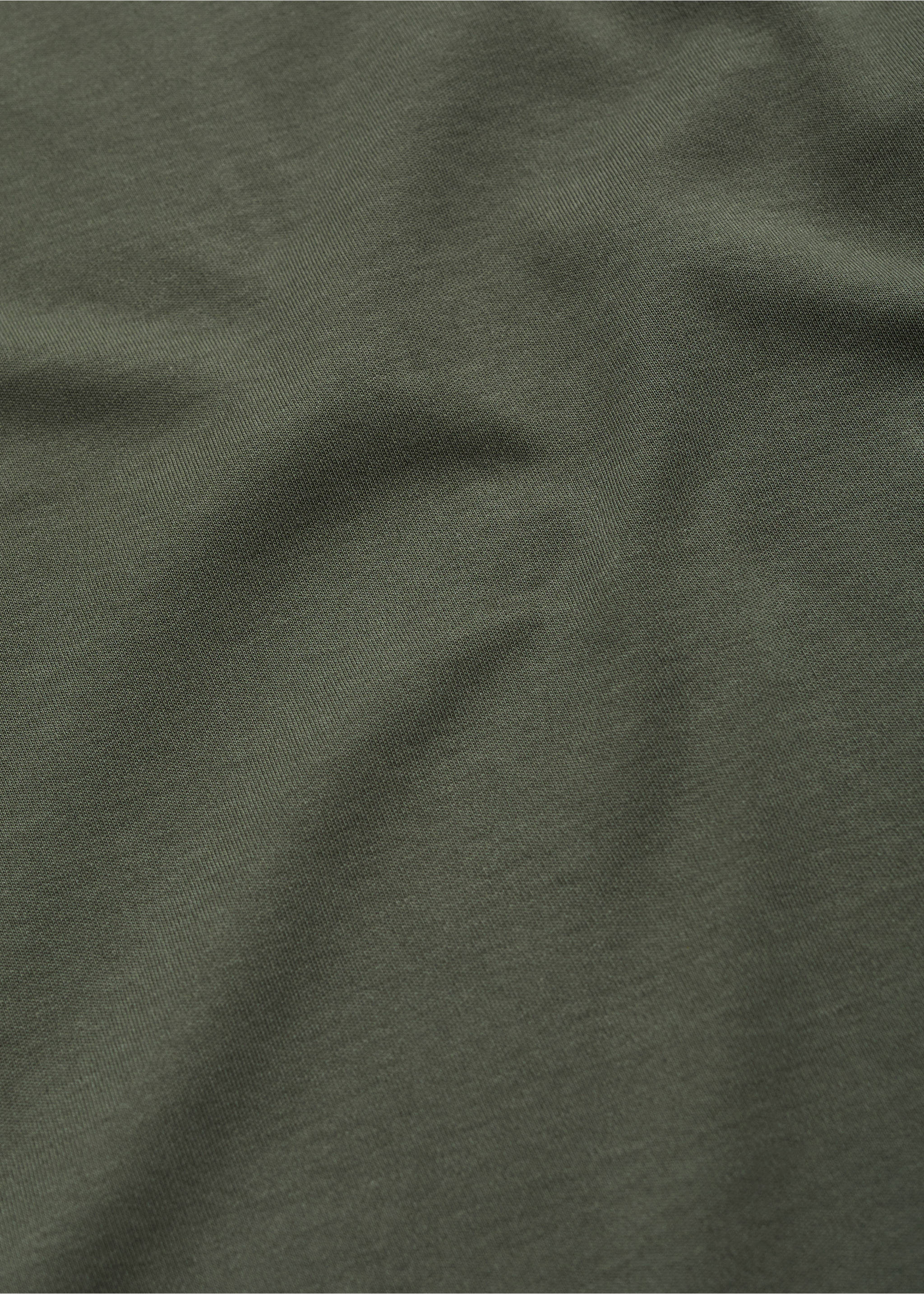 Camiseta 100% algodón manga larga - Detalle del artículo 0, Verde bosque. Ref: 77097111-00.