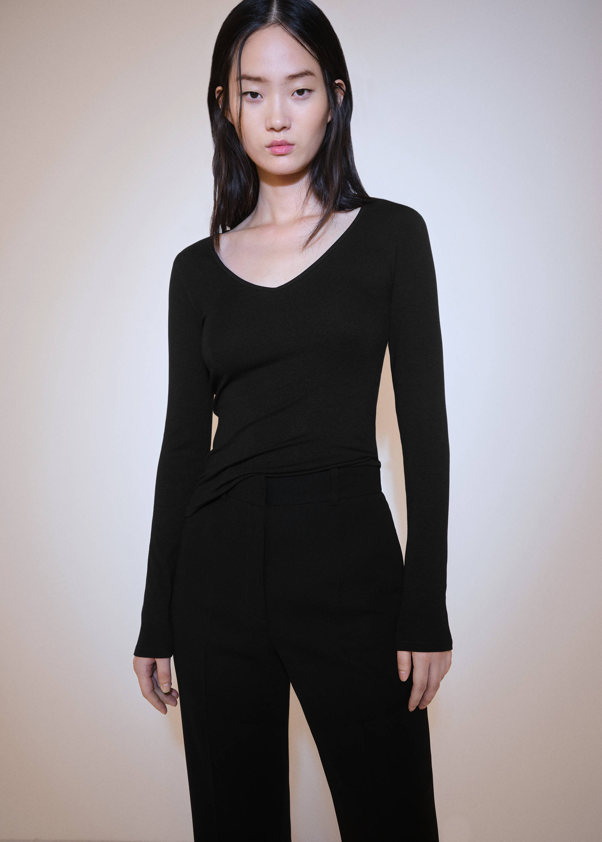 Long-sleeved V-neck T-shirt - Medium plane