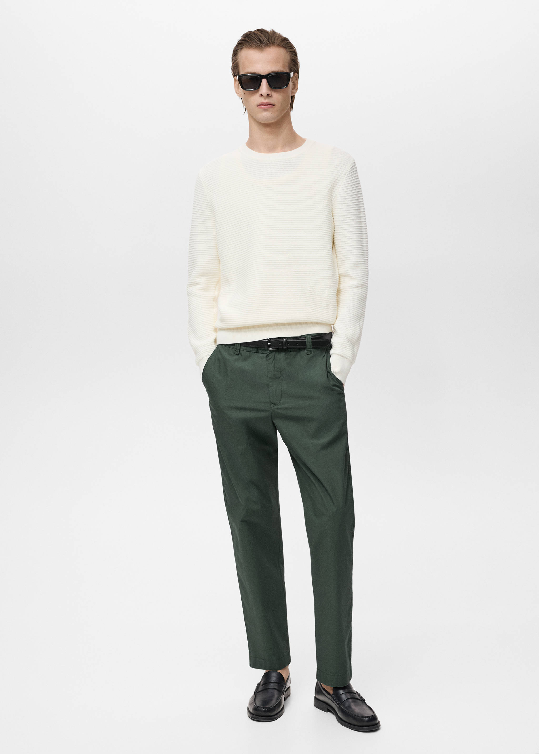 Poplin cotton trousers - General plane