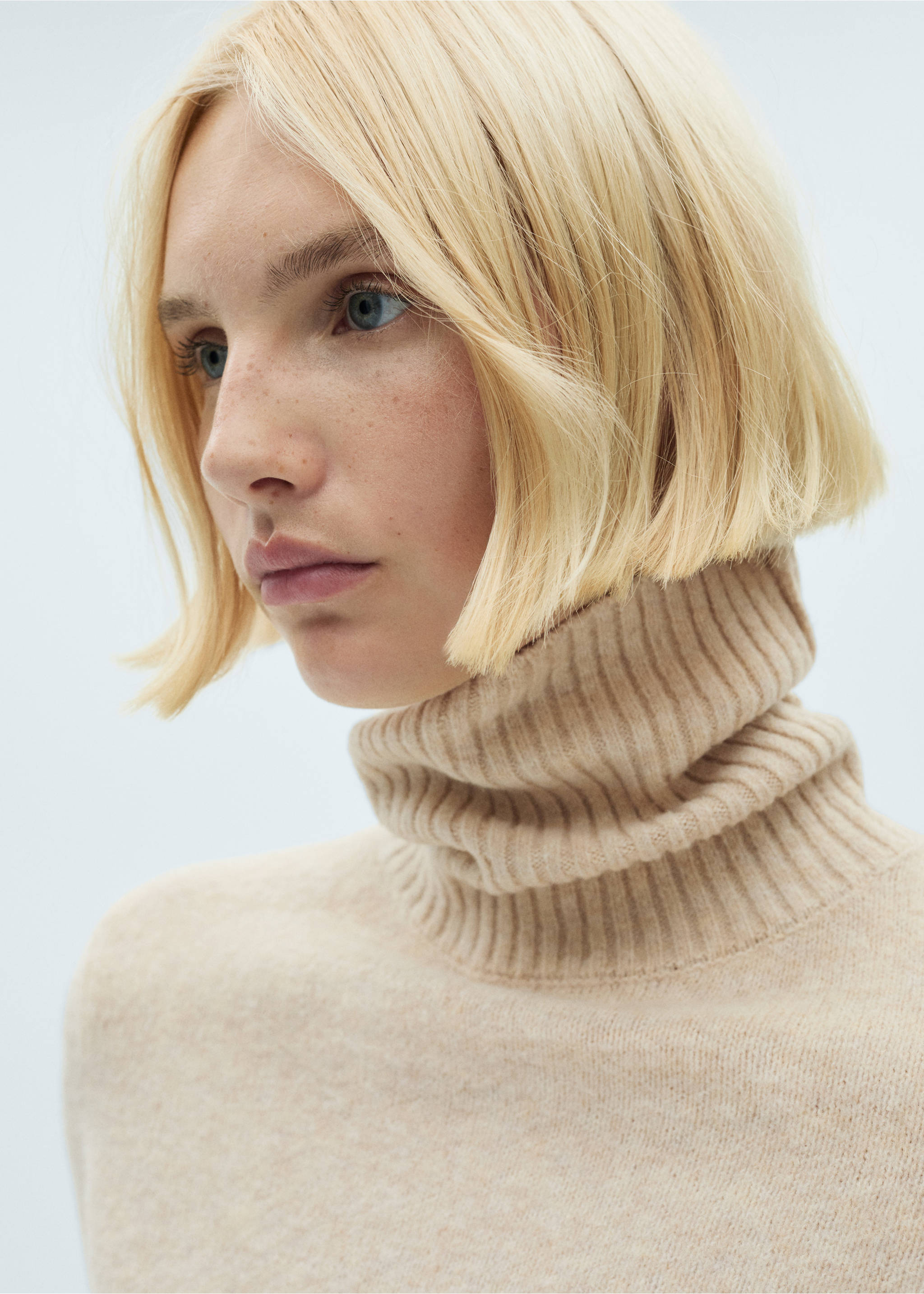 Turtle neck sweater - Details of the article 1, Ecru. Ref: 87010290-00.