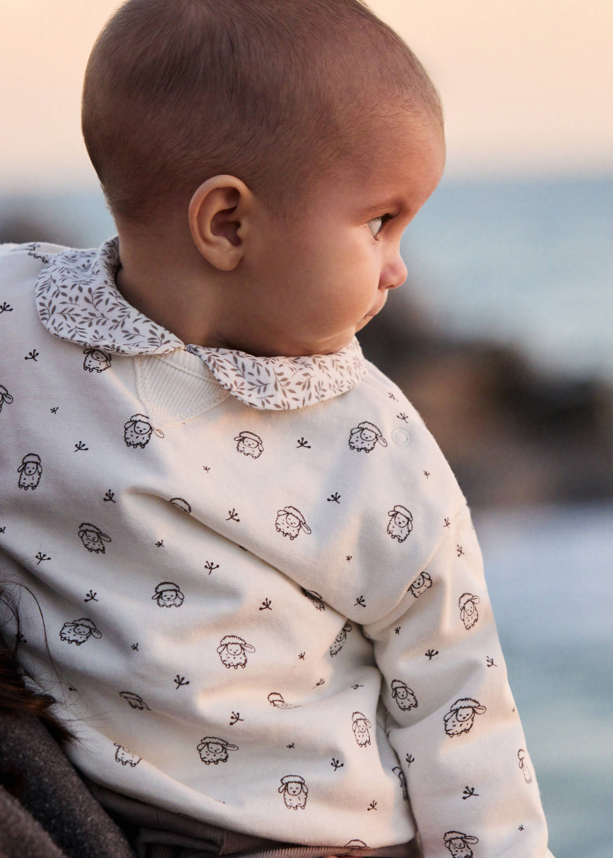 Printed cotton sweatshirt - General plane