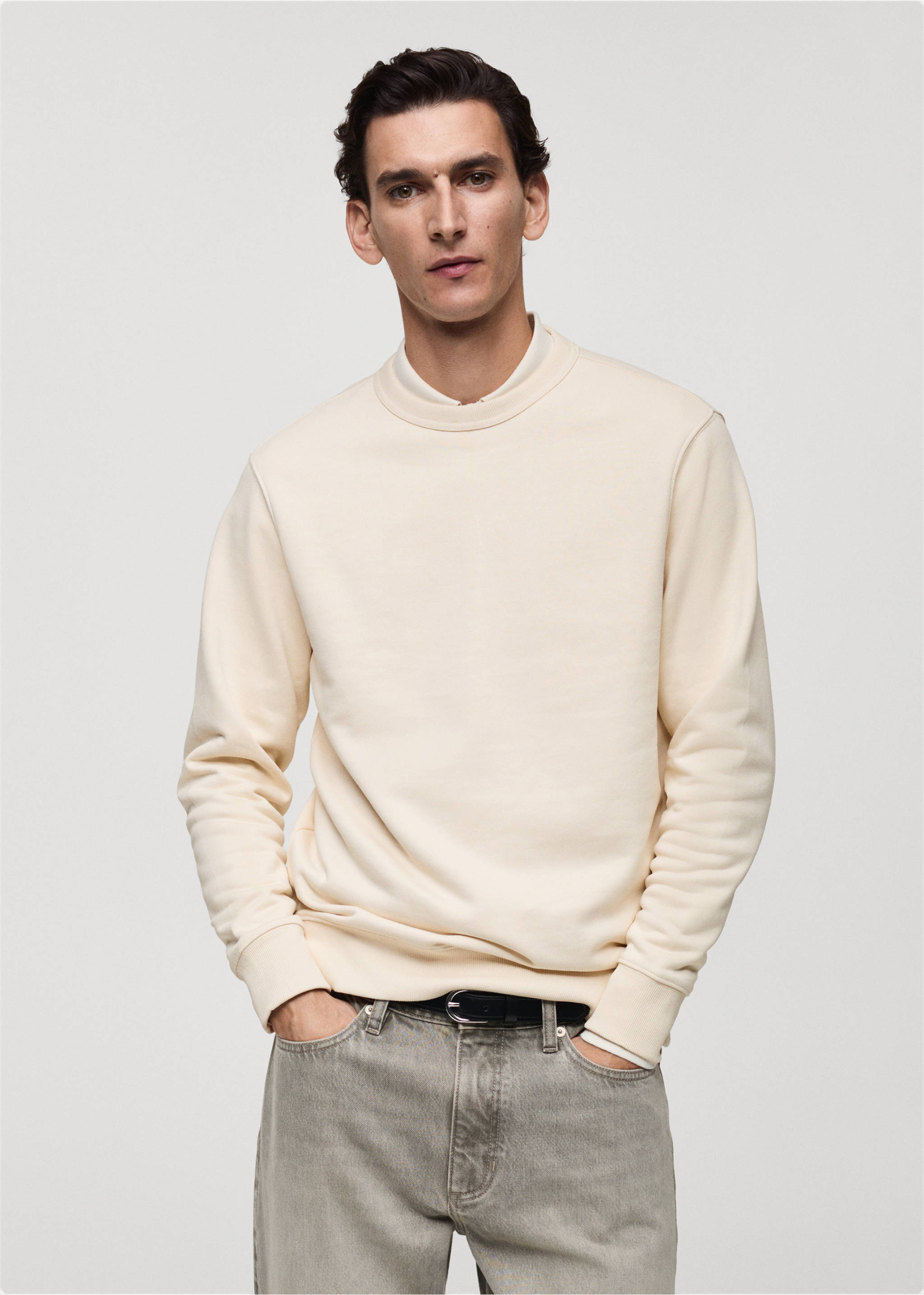 Regular-fit cotton sweatshirt - Medium plane, Ecru. Ref: 87010620-00.