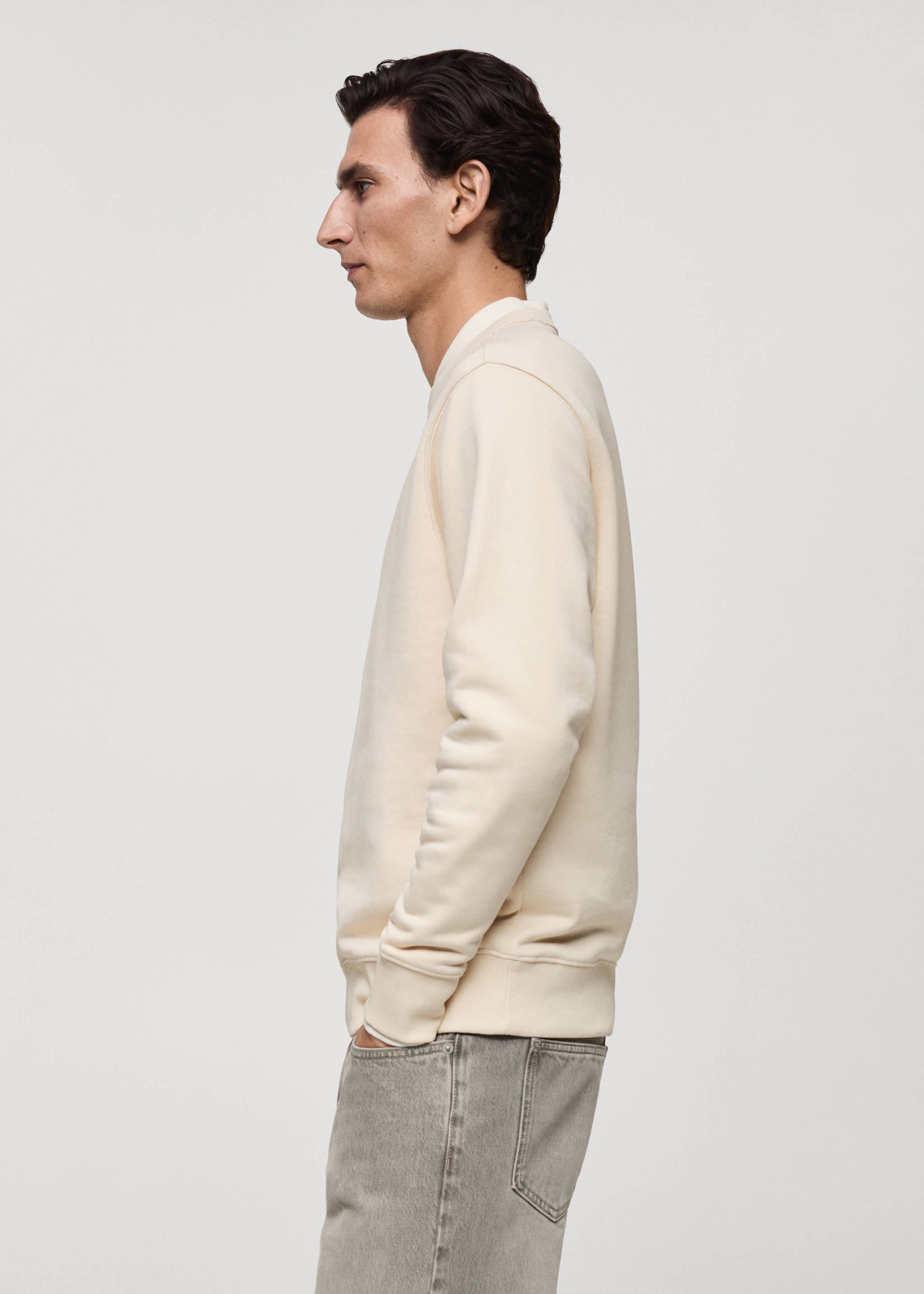 Regular-fit cotton sweatshirt - Details of the article 2