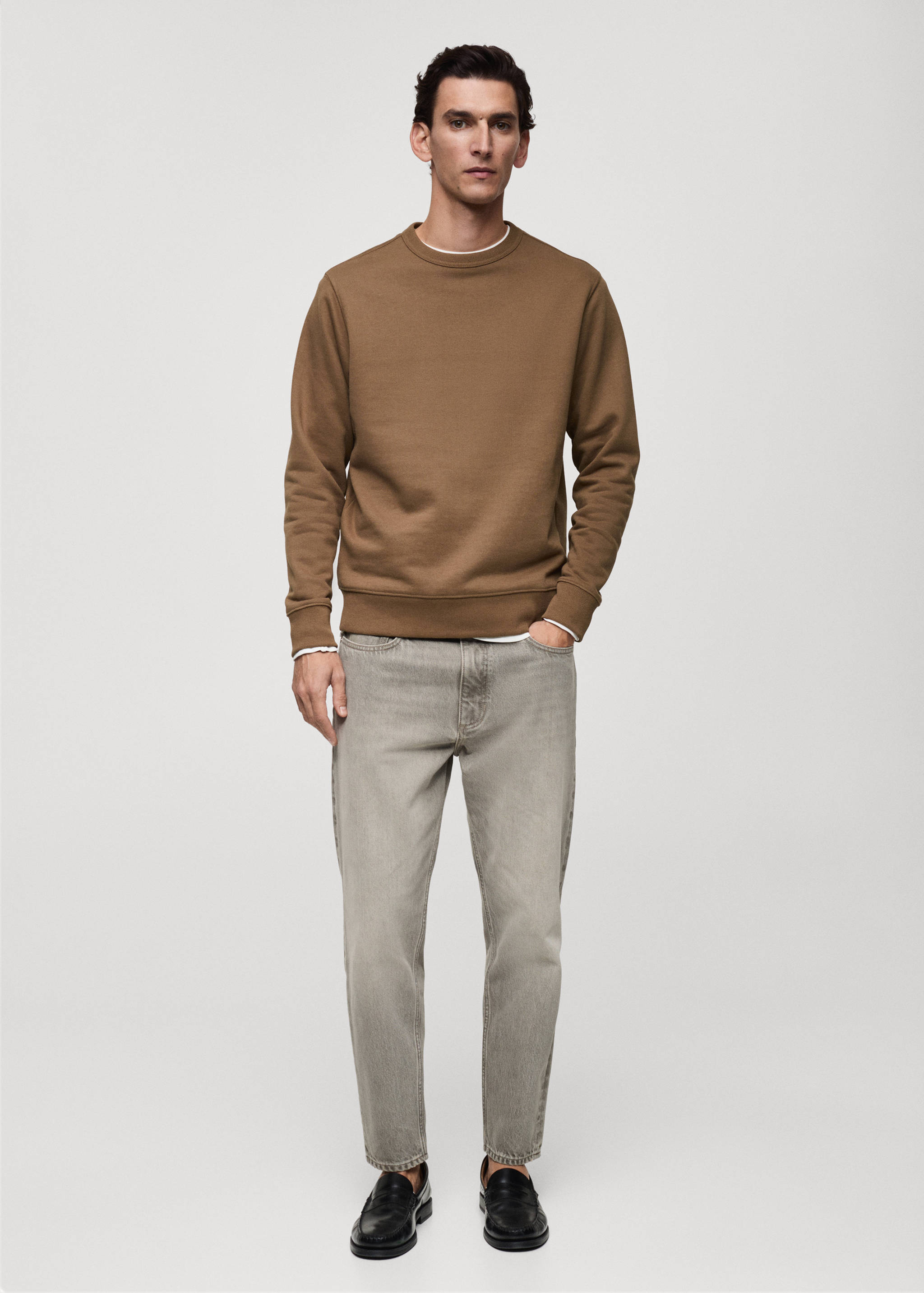 Regular-fit cotton sweatshirt - General plane