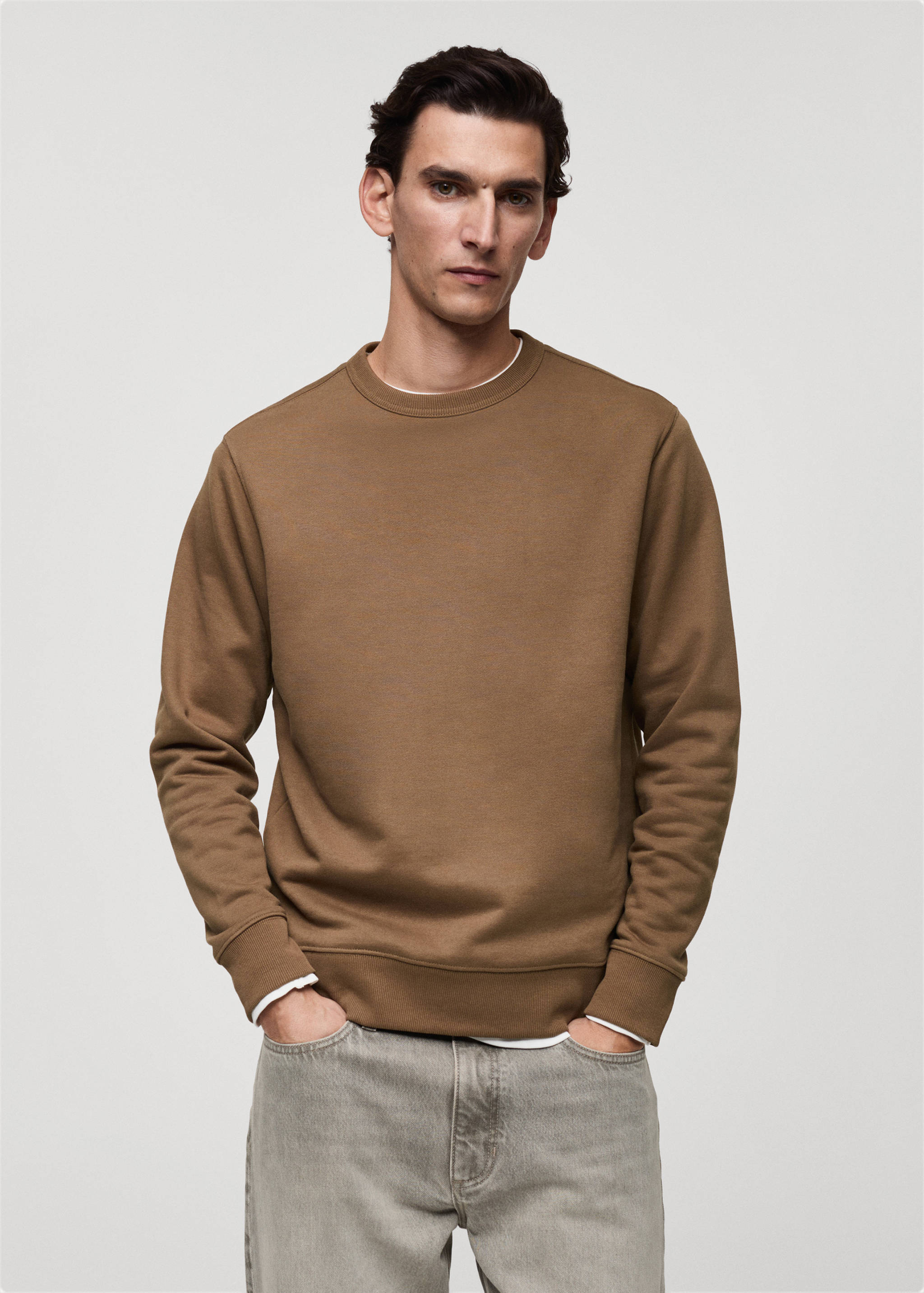 Regular-fit cotton sweatshirt - Medium plane