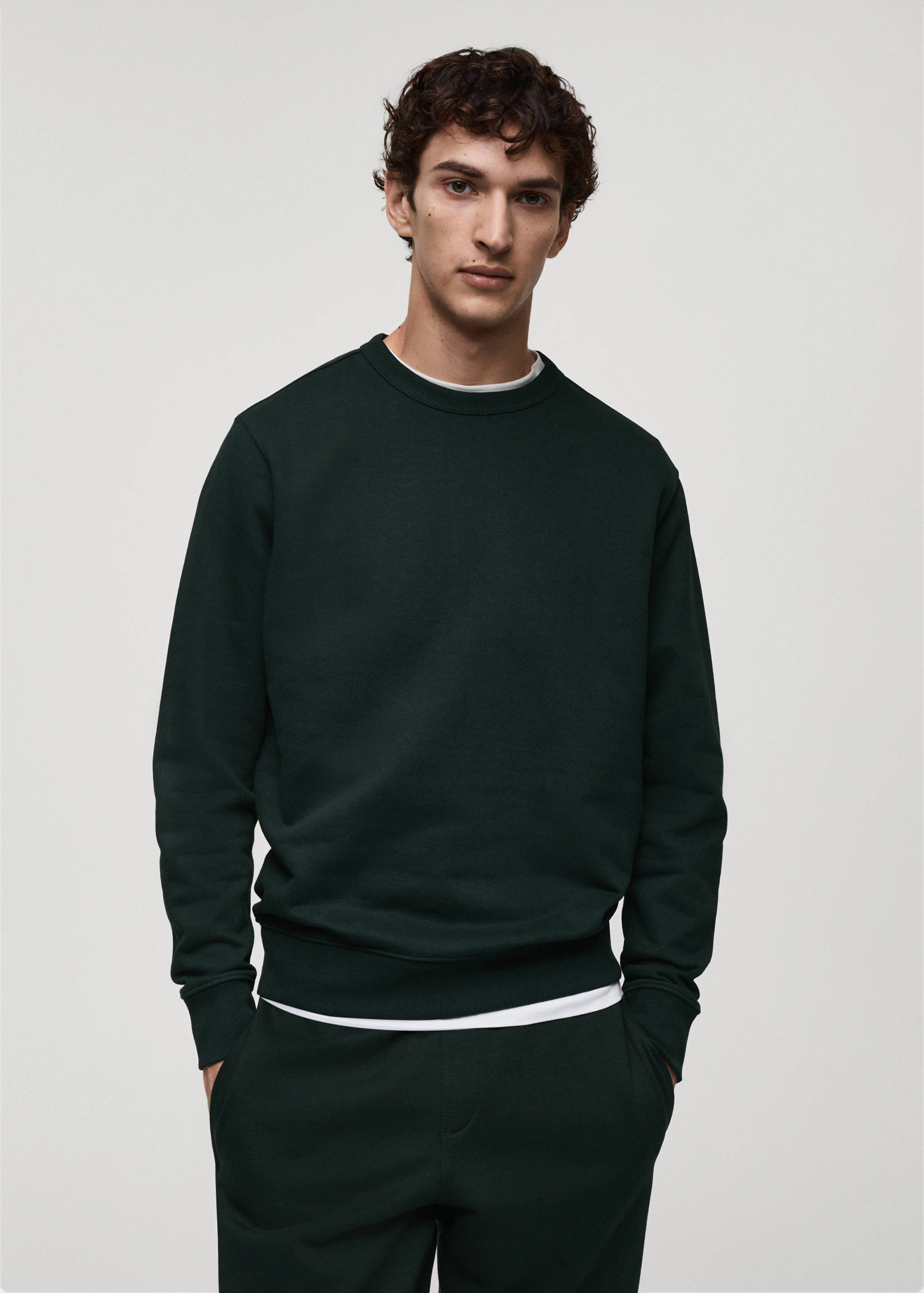 Regular-fit cotton sweatshirt - Medium plane
