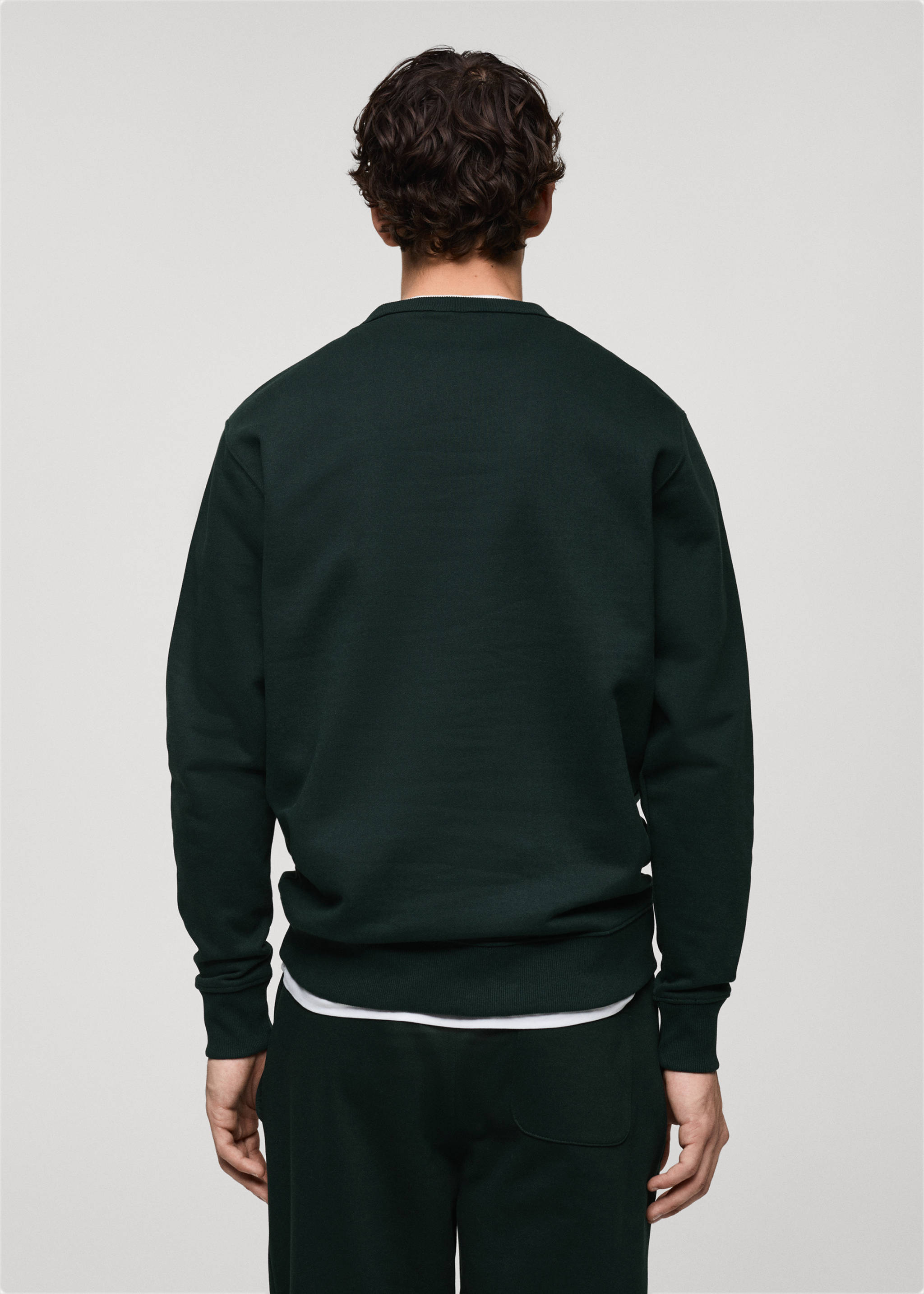Regular-fit cotton sweatshirt - Reverse of the article